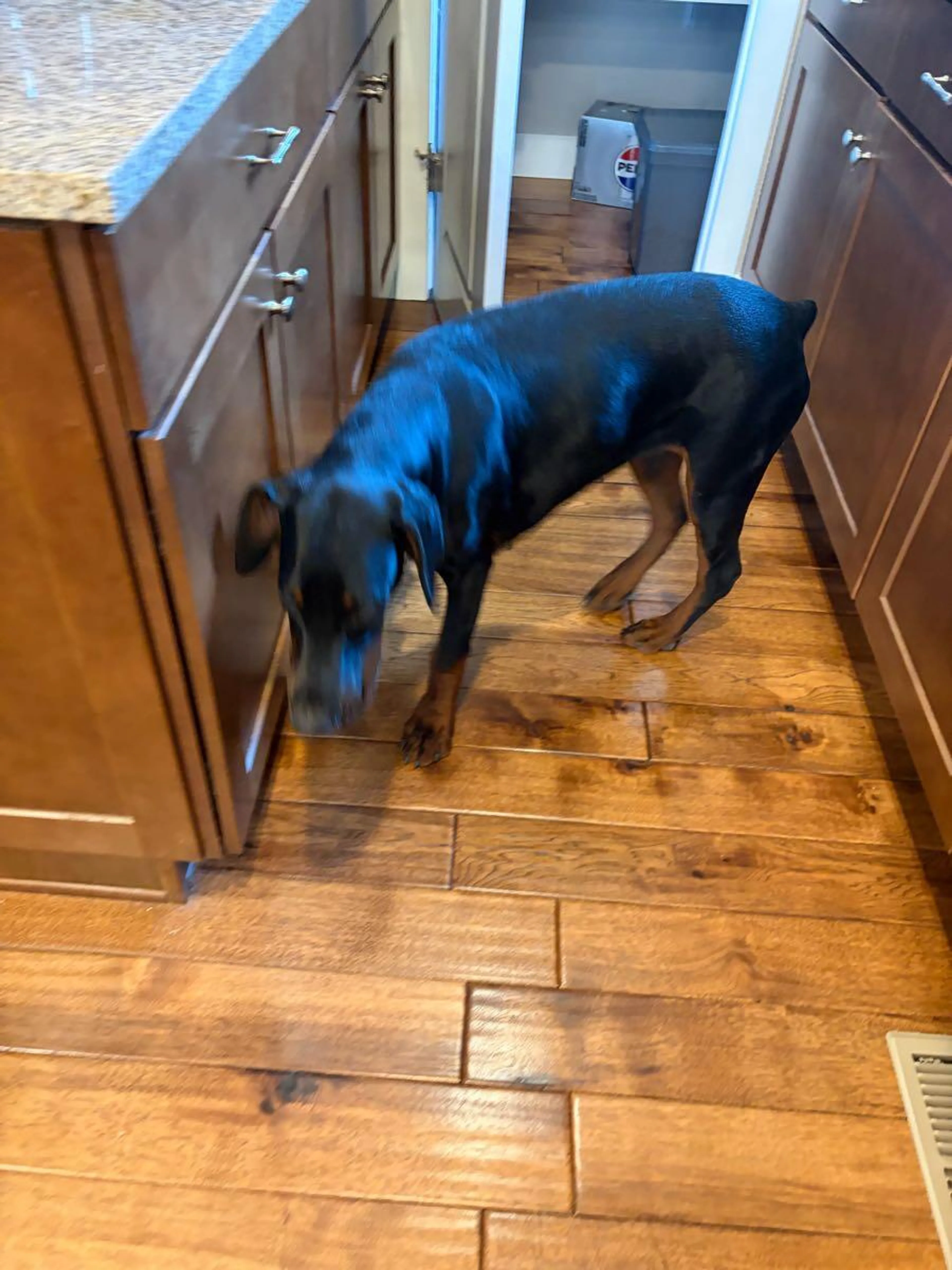 cdn image