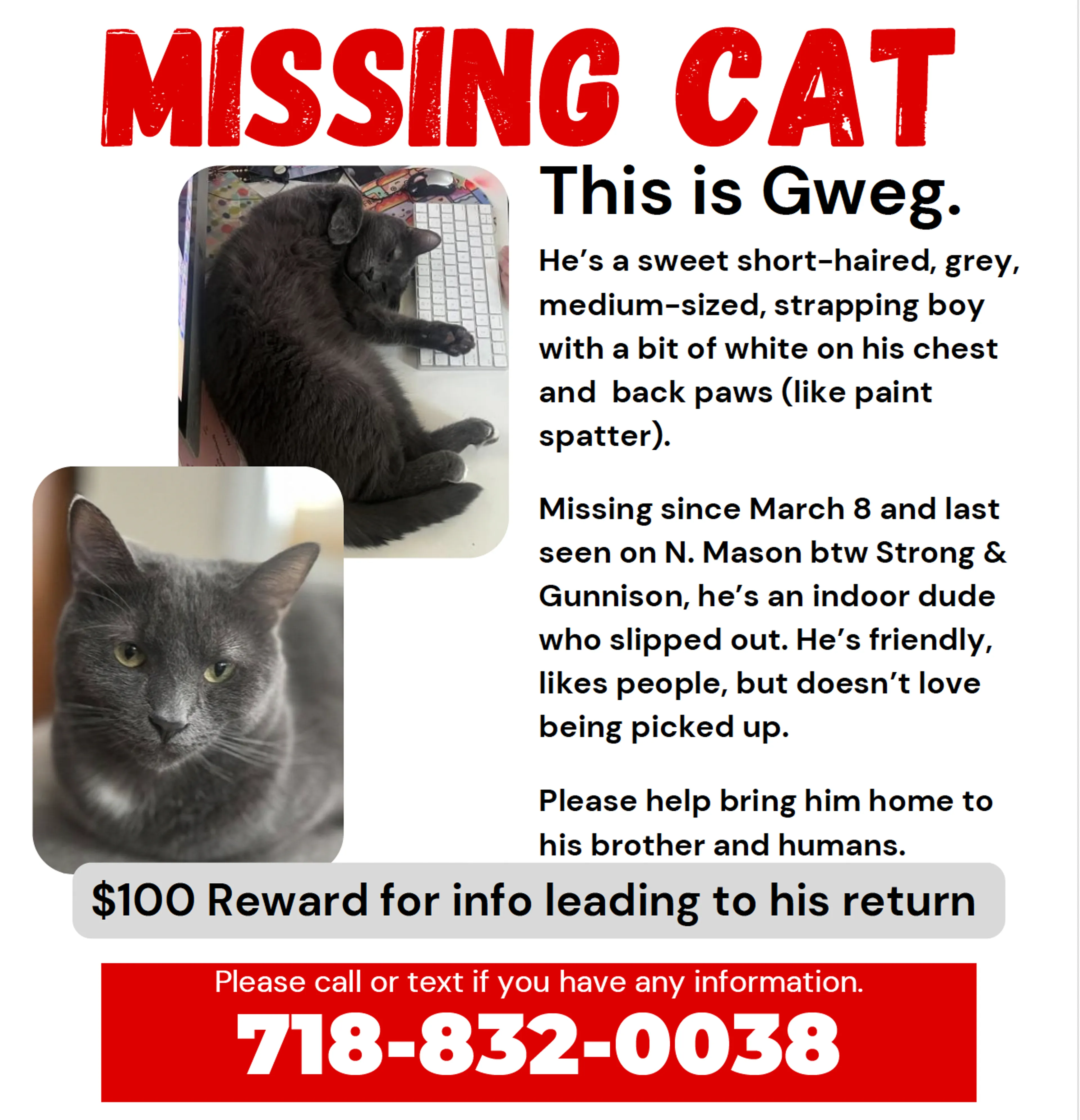 Lost pet
