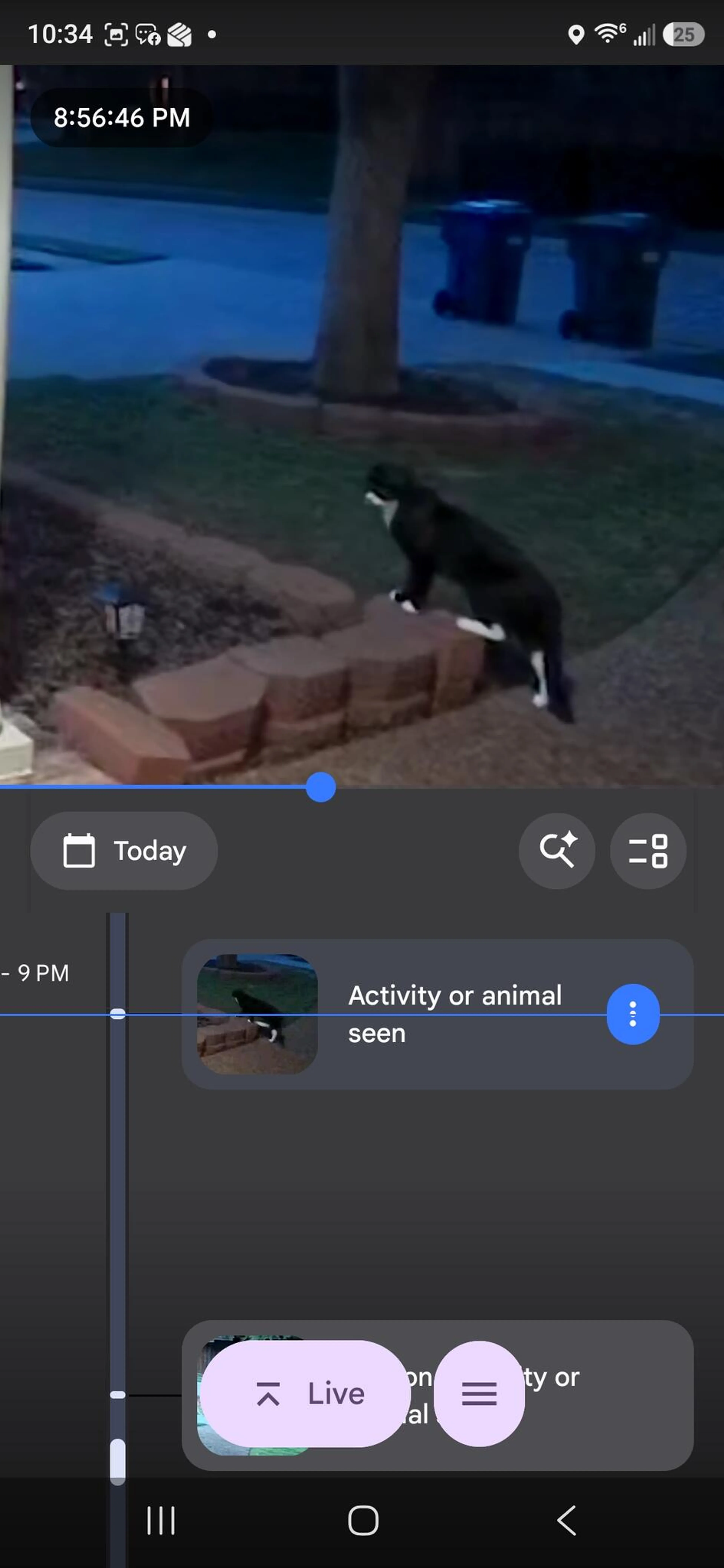cdn image