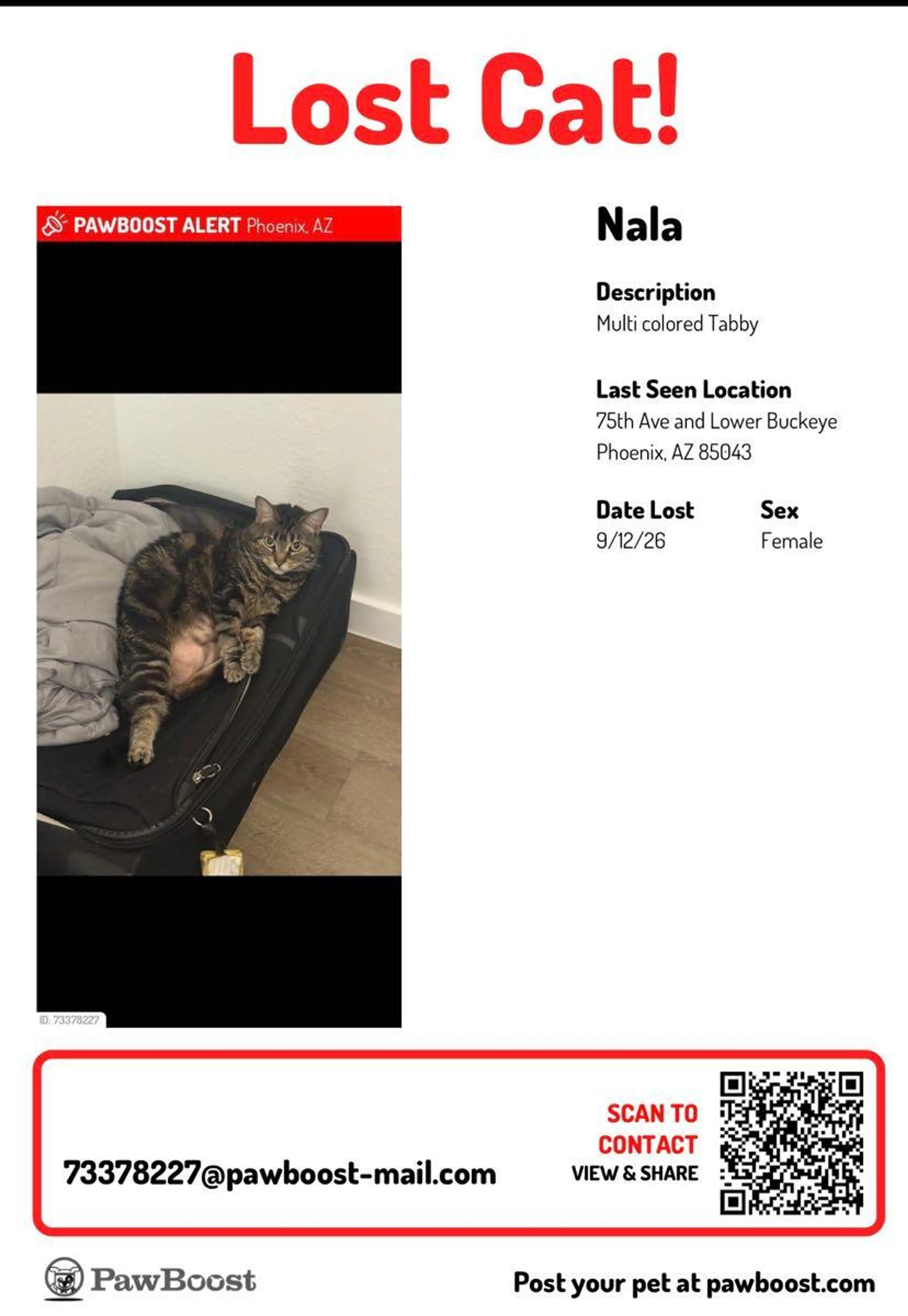 cdn image