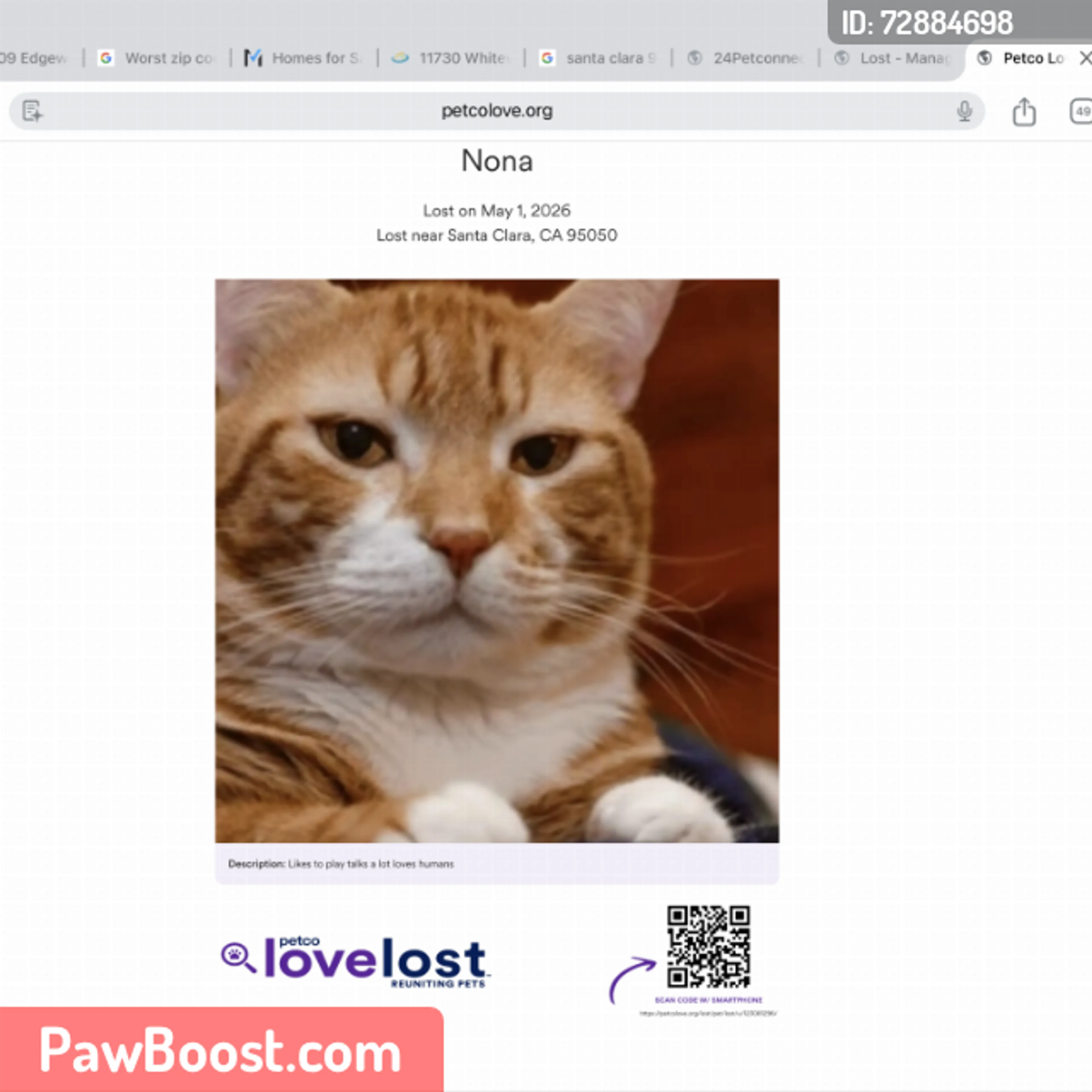 Lost pet