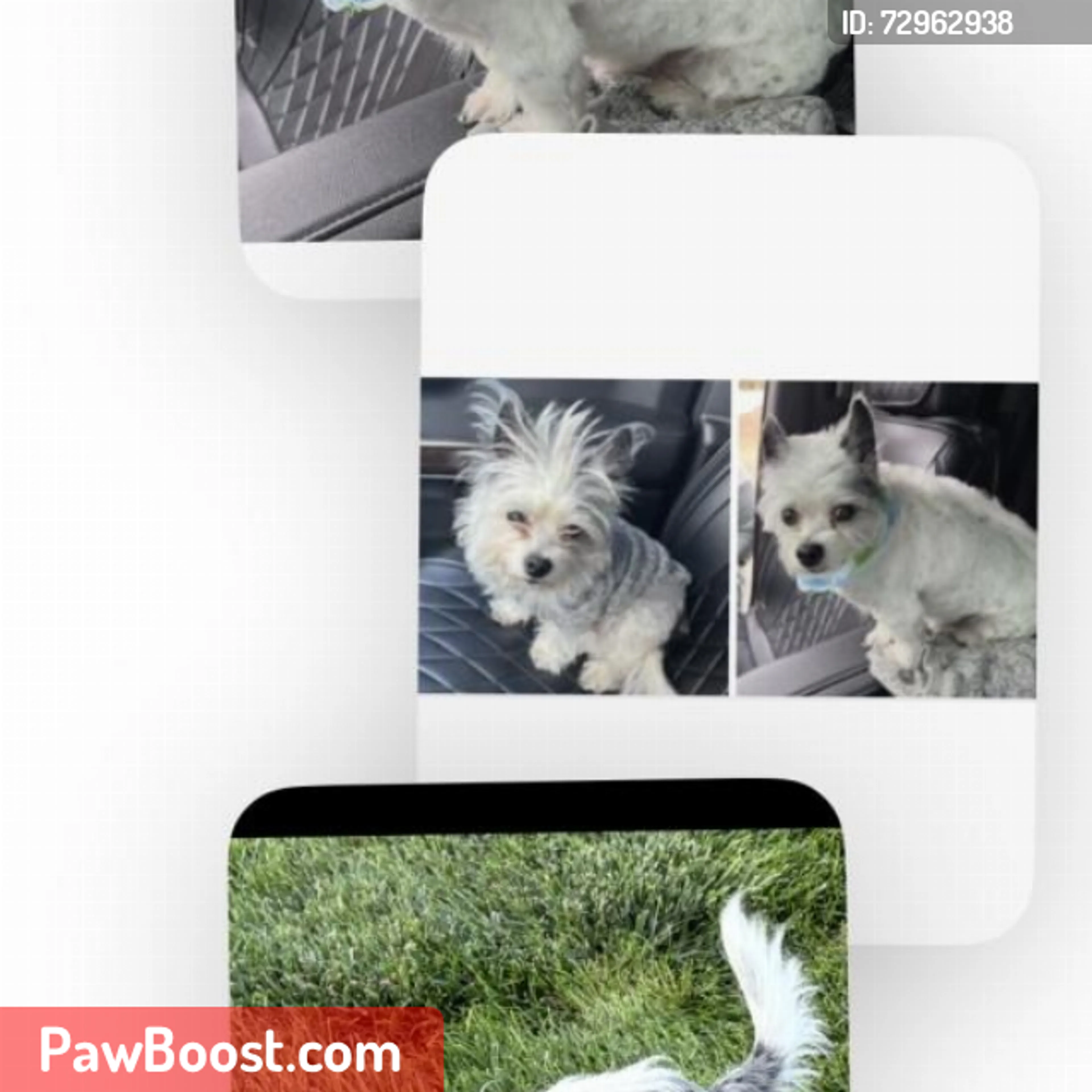 cdn image