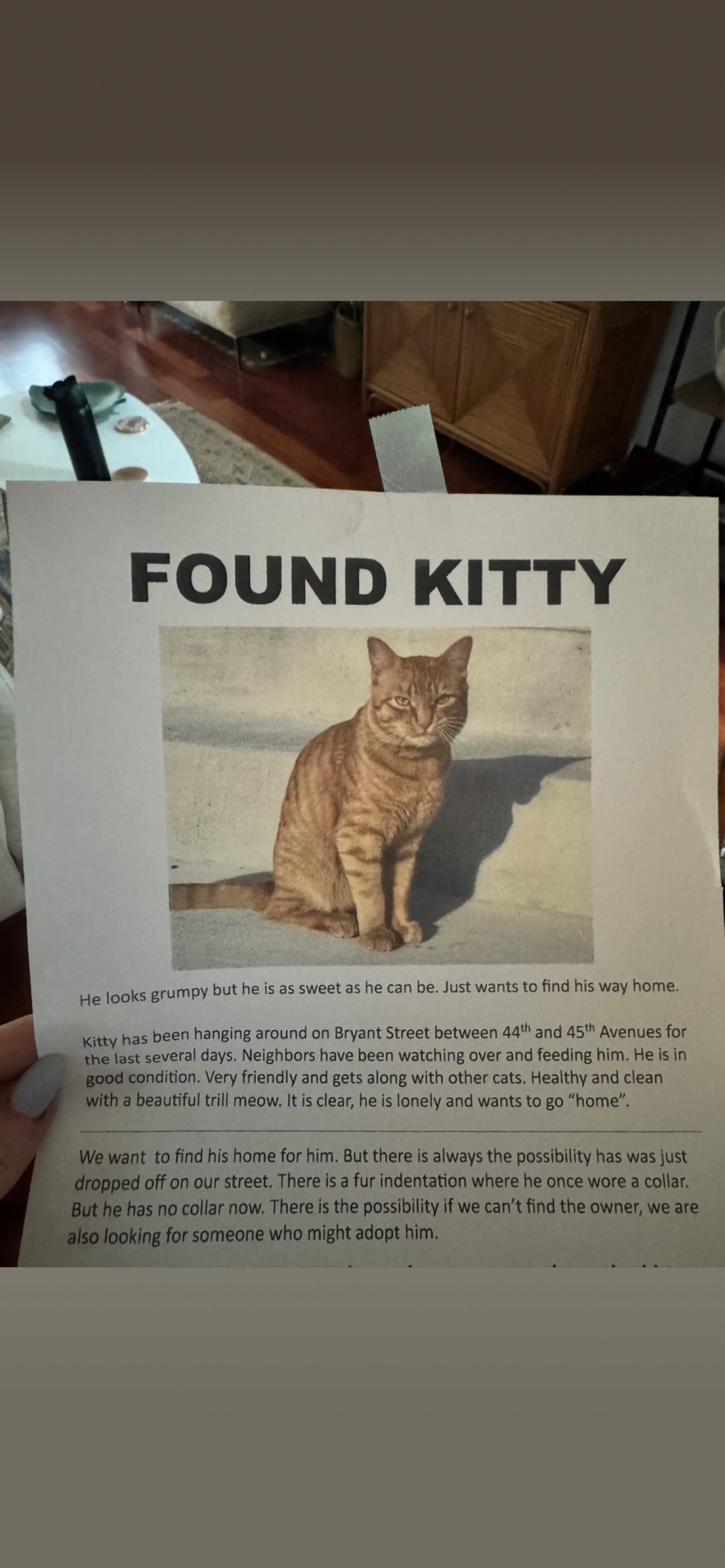 Found pet