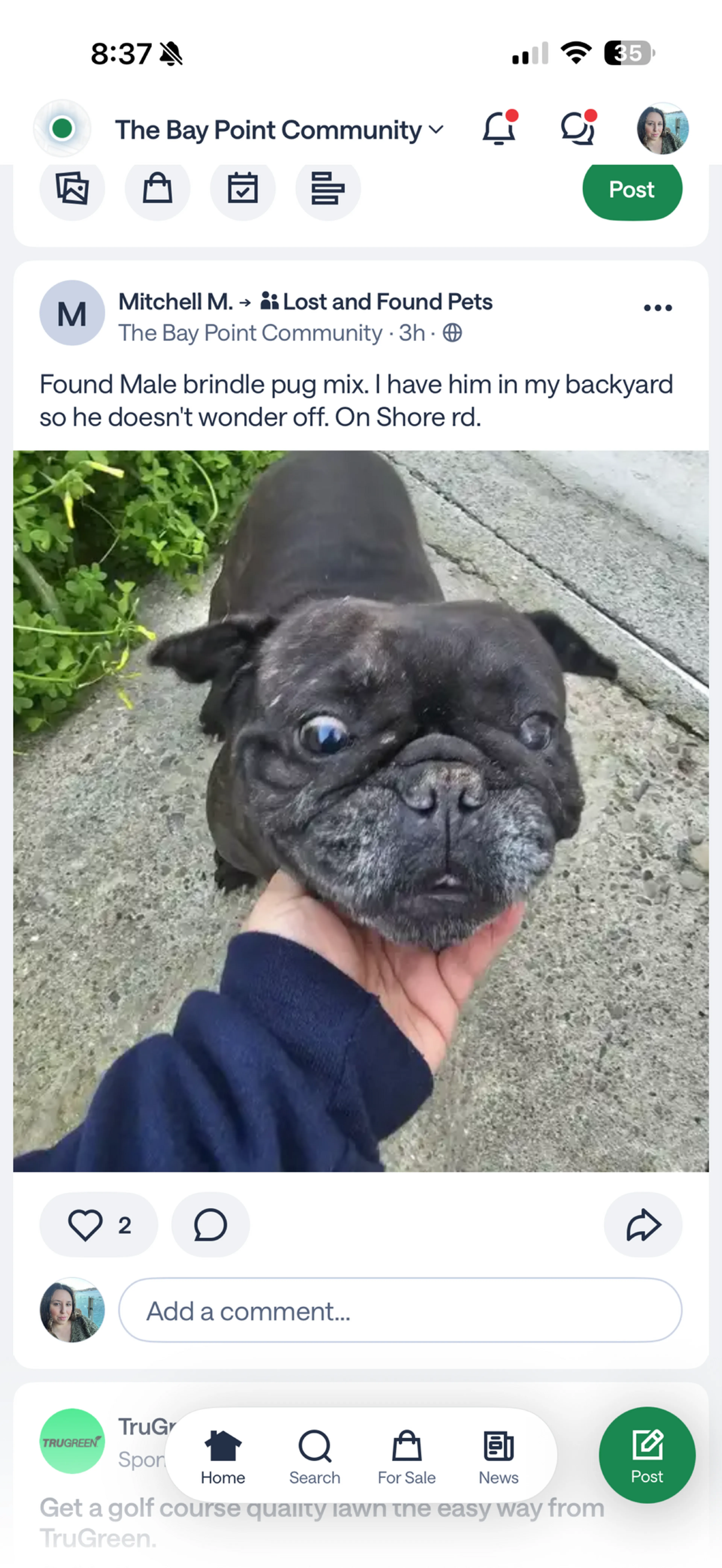Lost pet