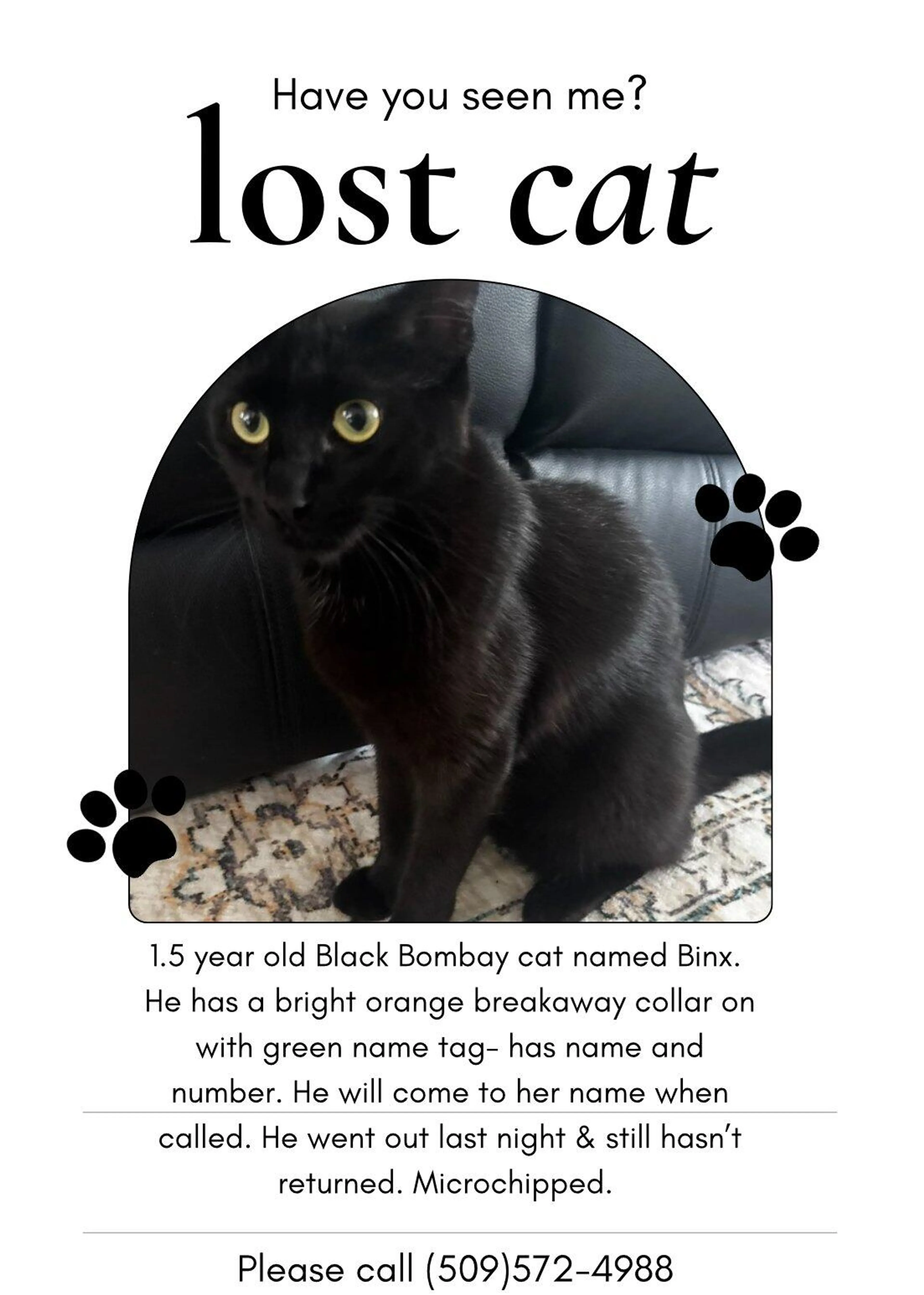 Lost pet