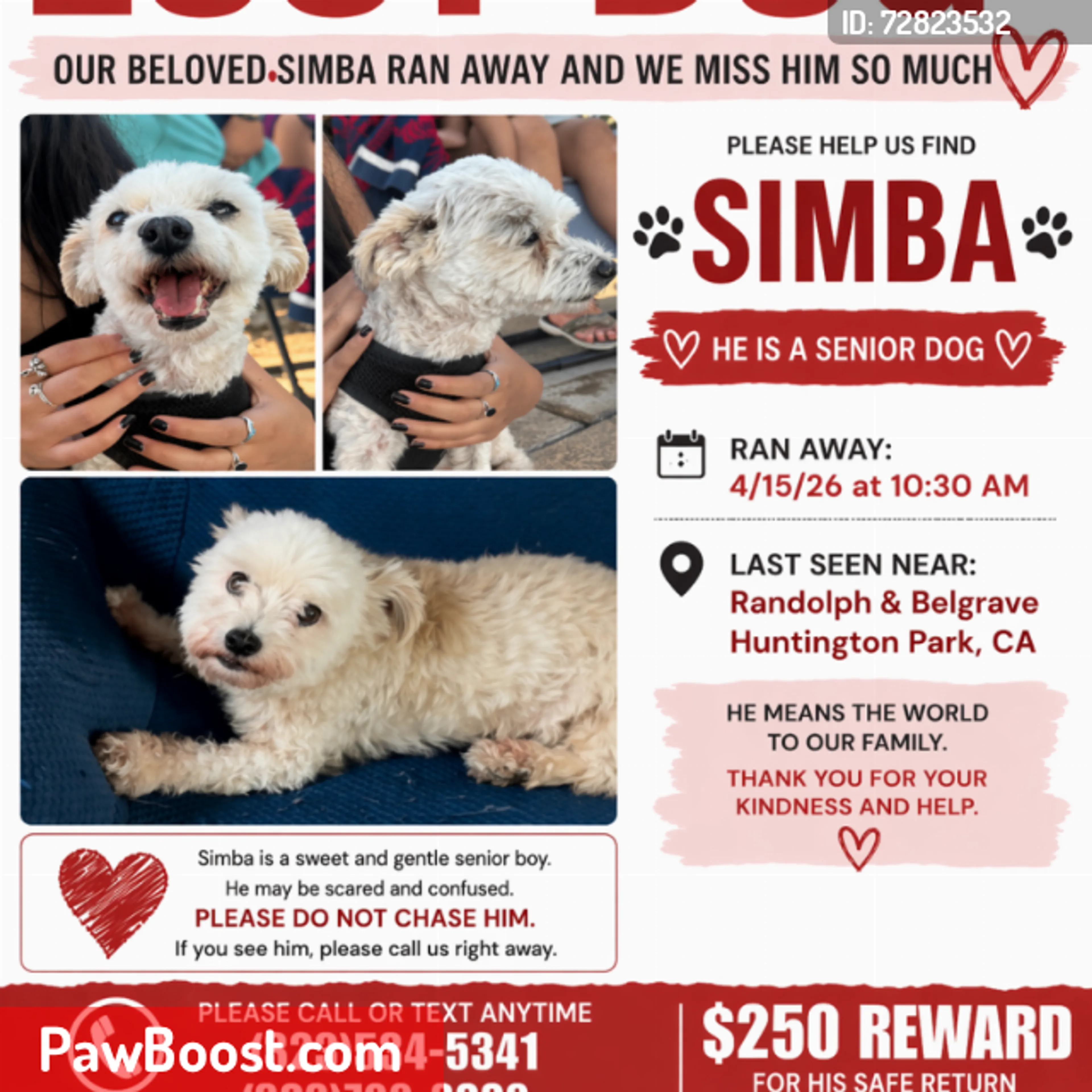 Lost pet