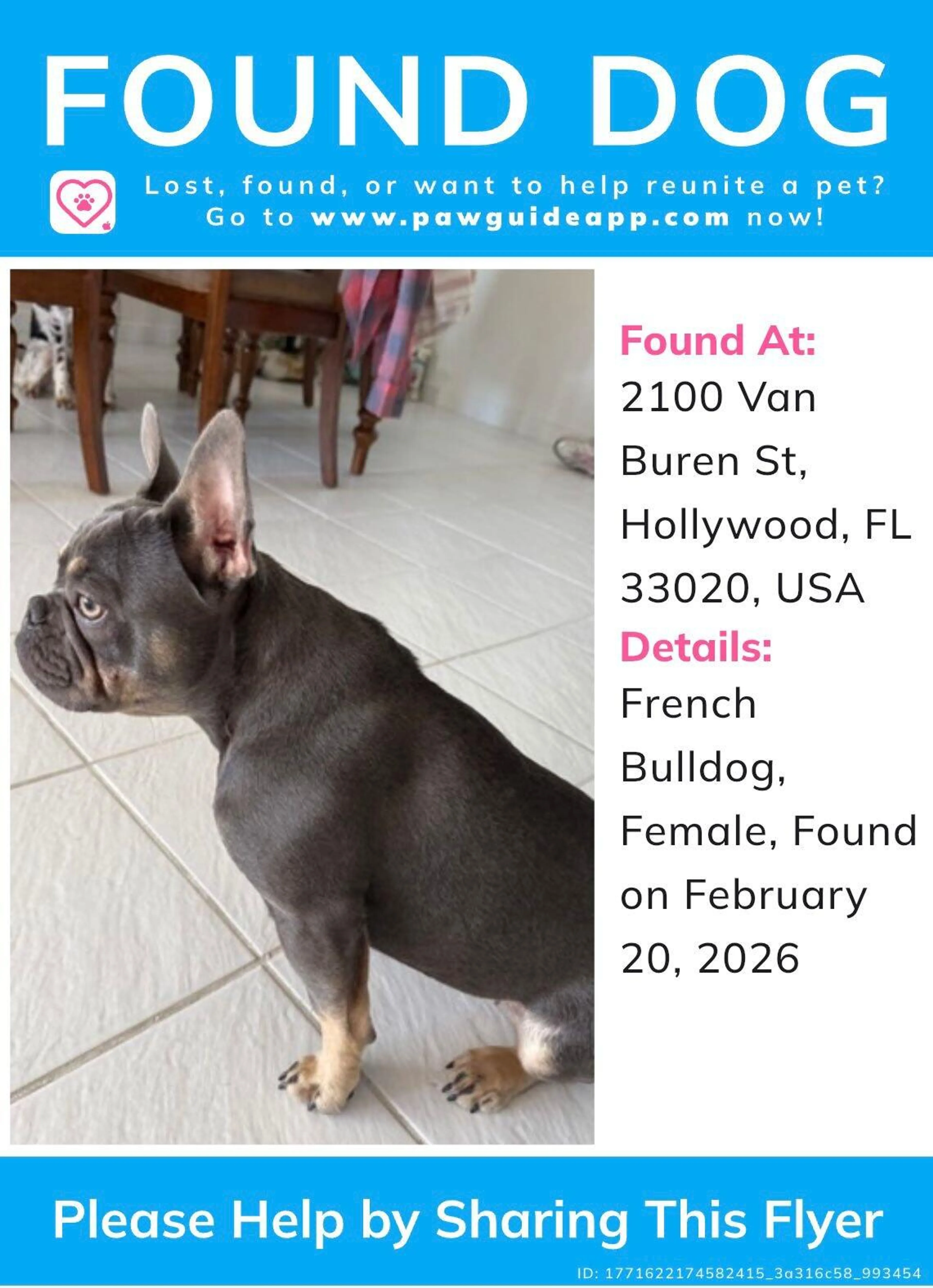 Found pet