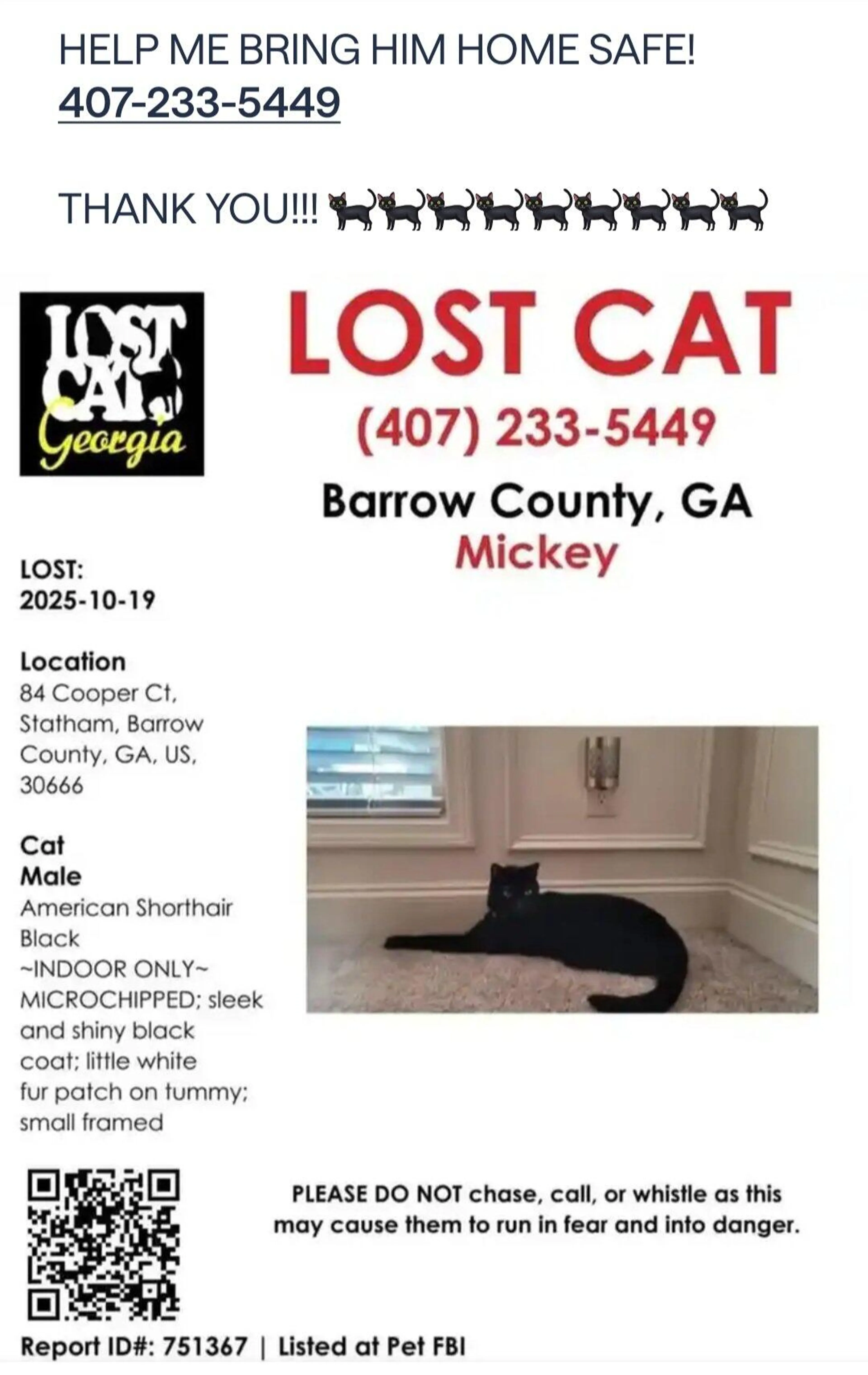 Lost pet