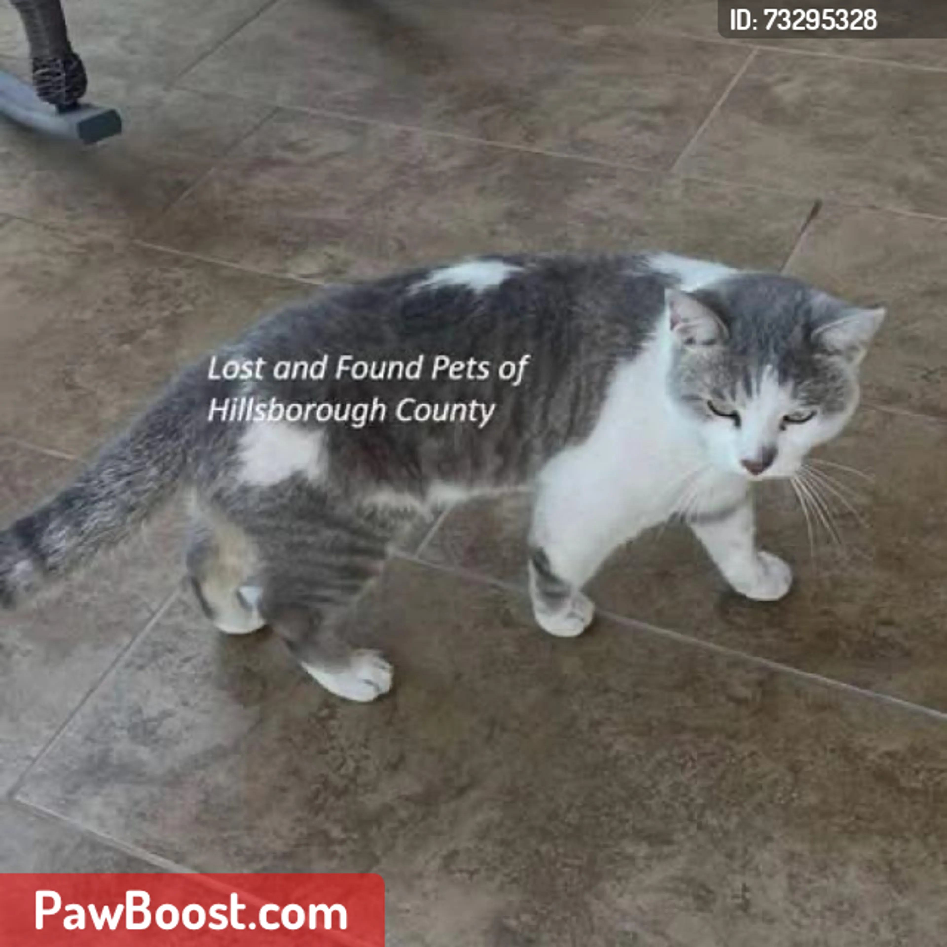 cdn image