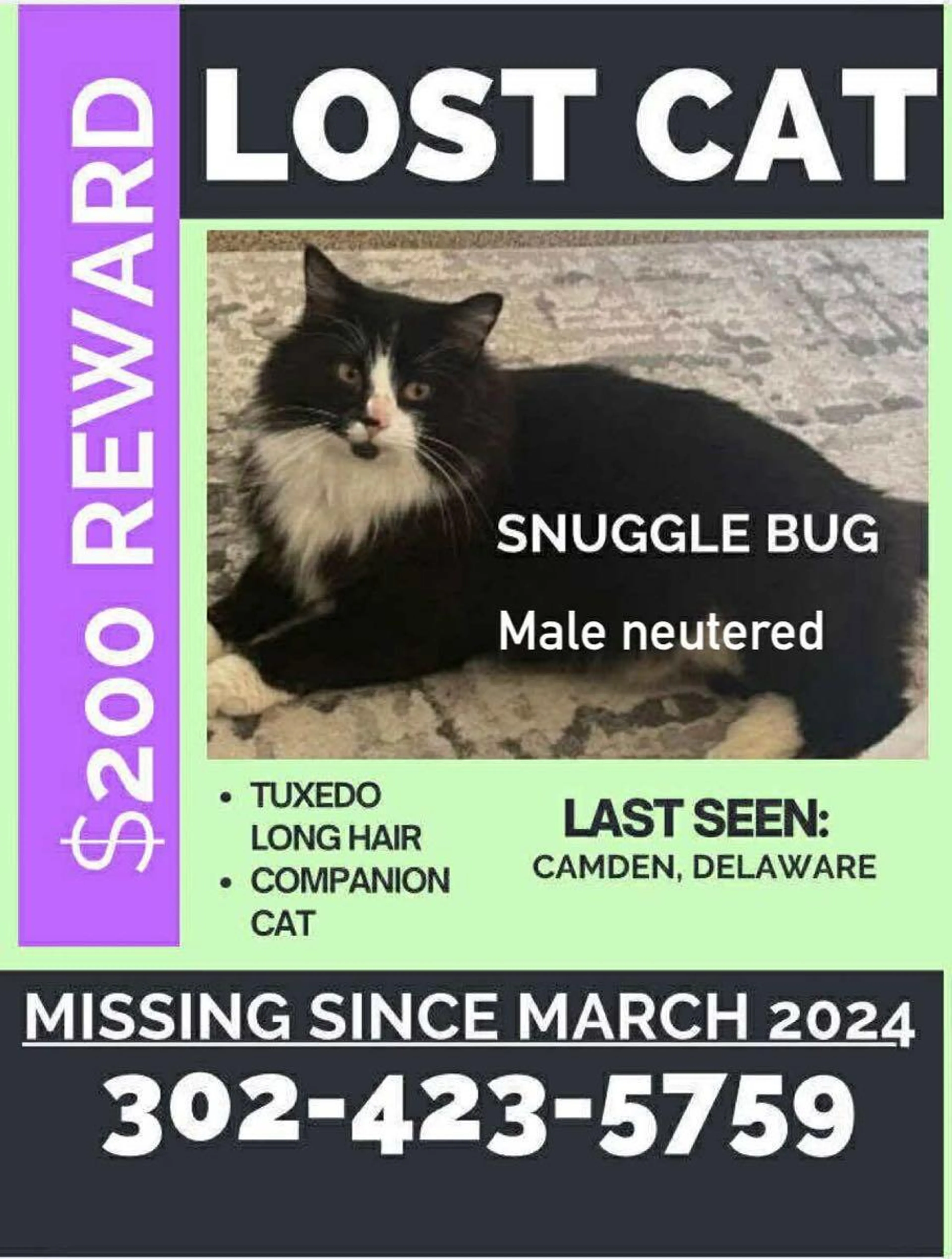 Lost pet