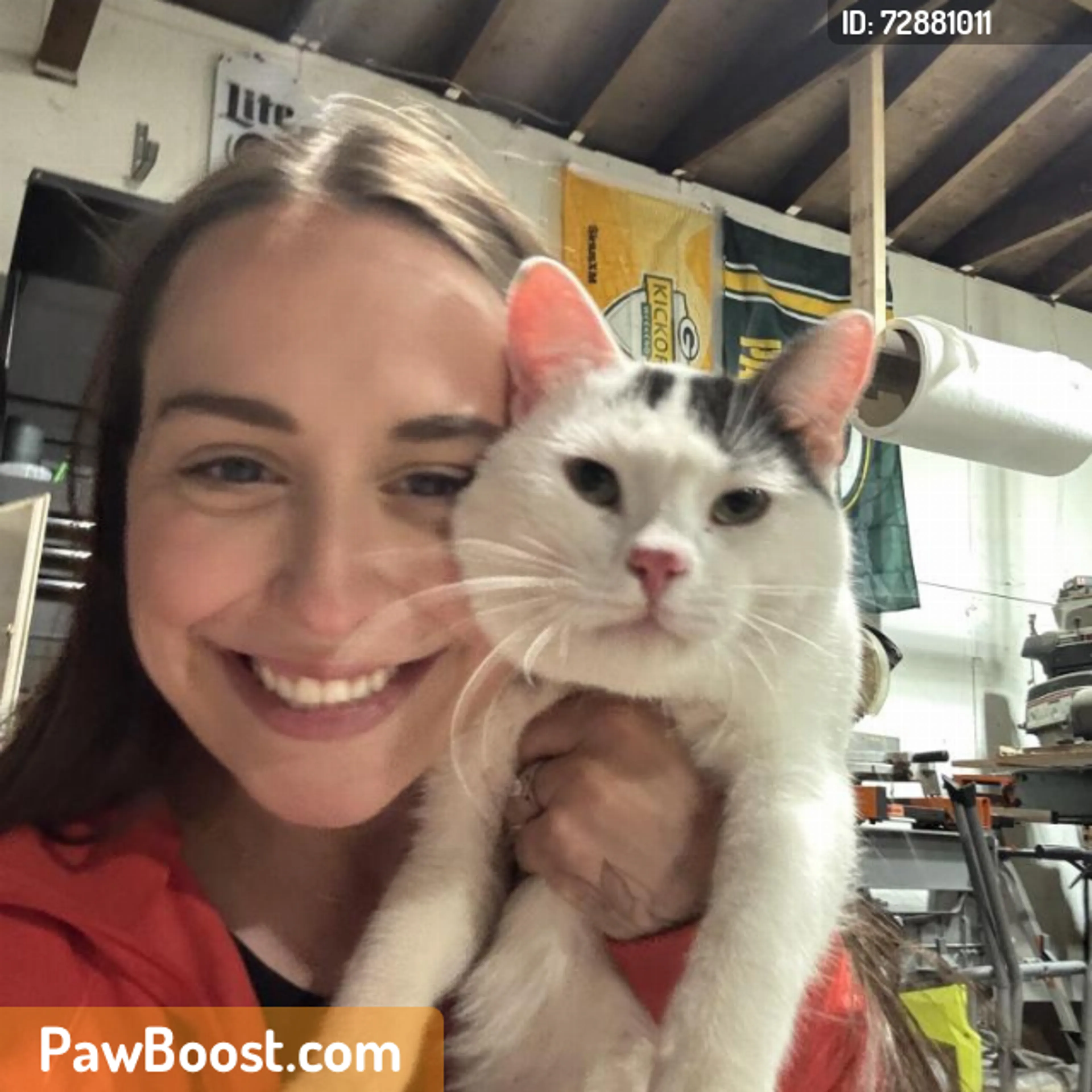 Found pet
