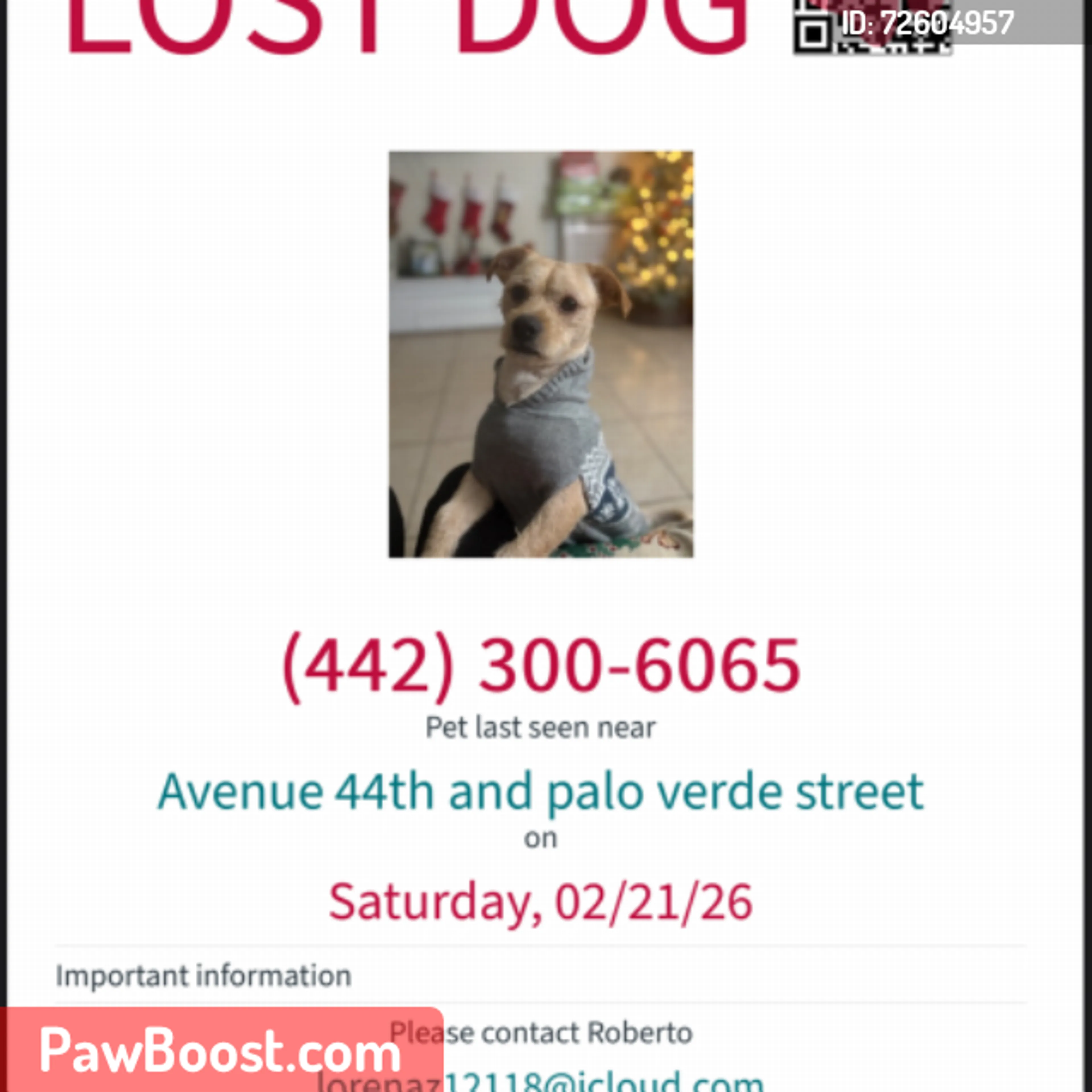 Lost pet