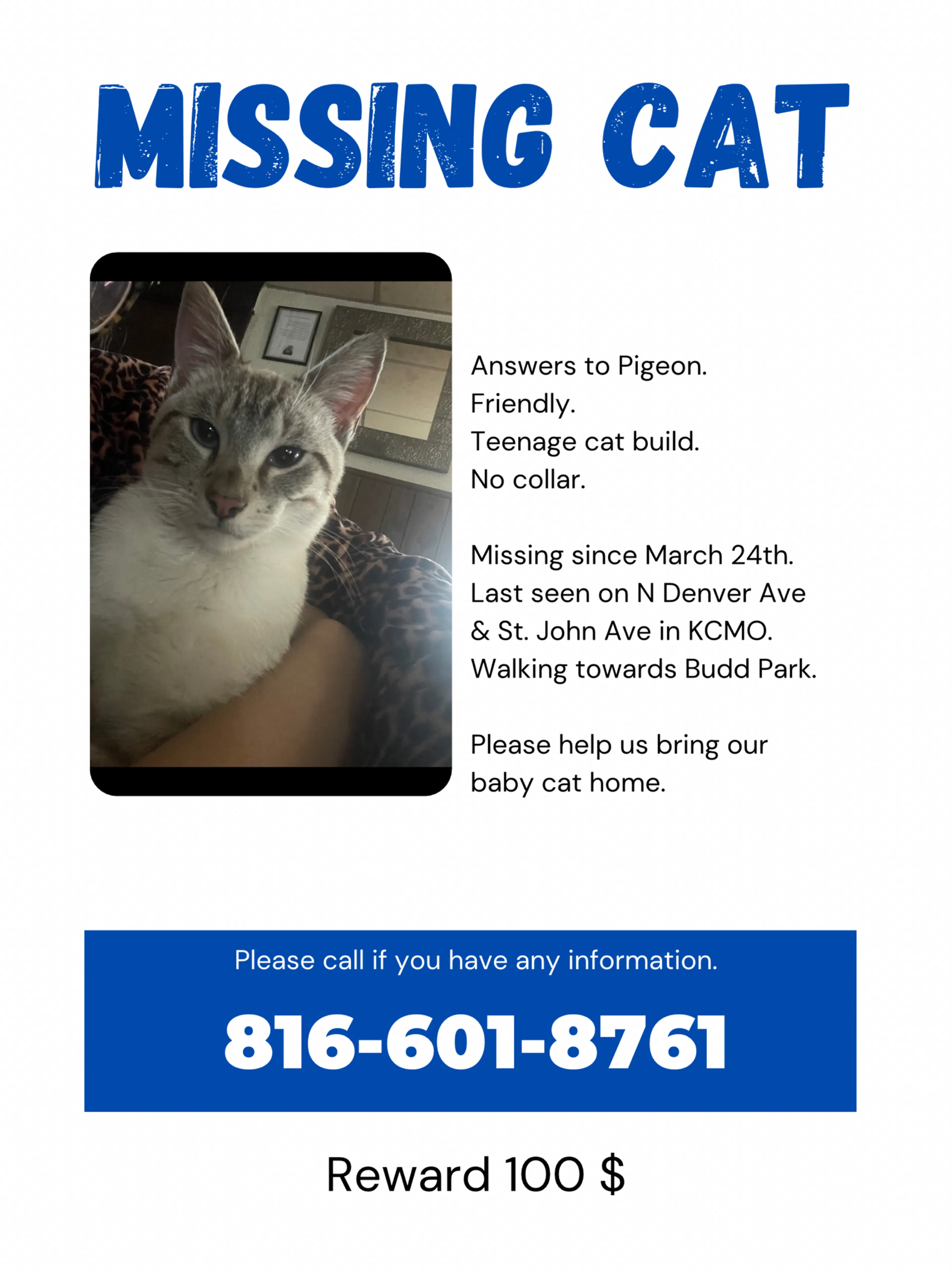 Lost pet