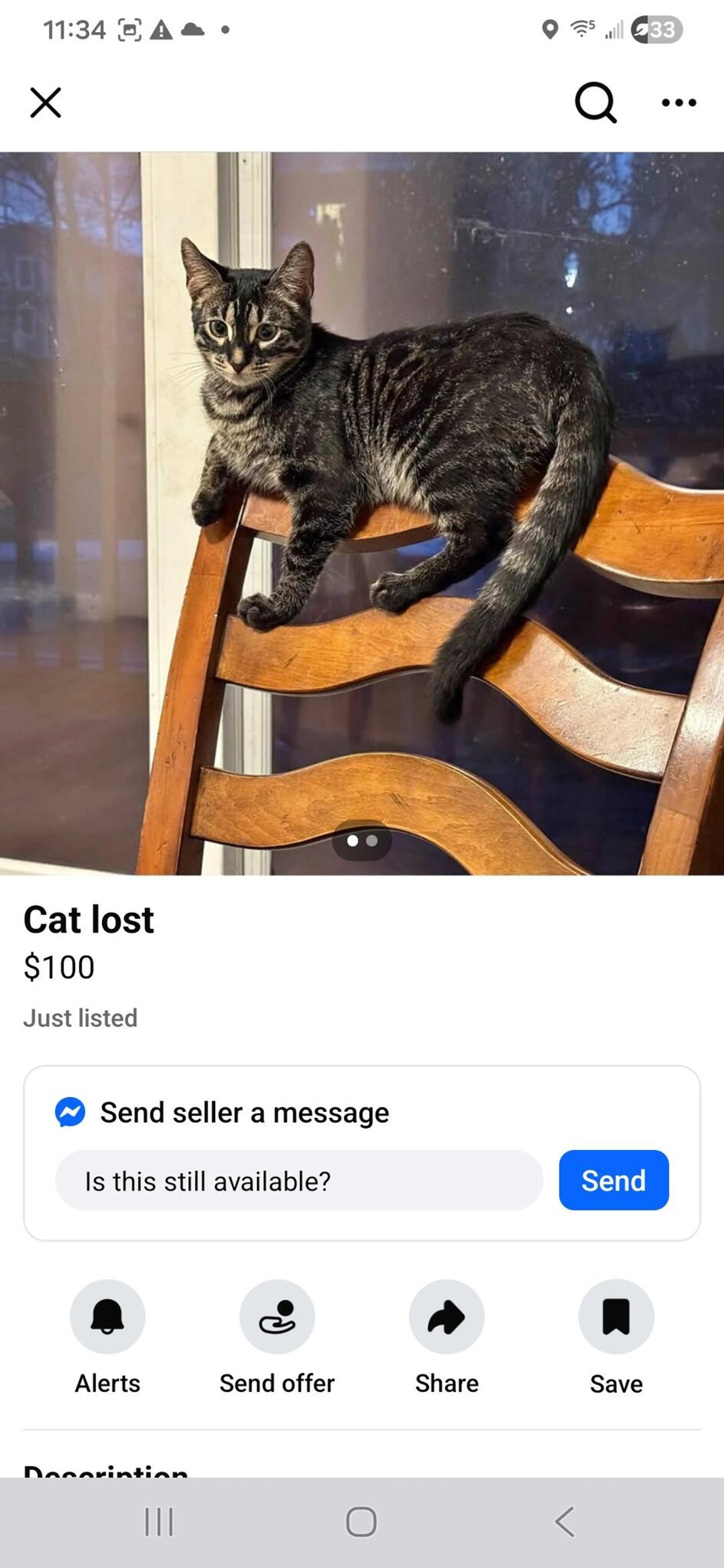 Lost pet