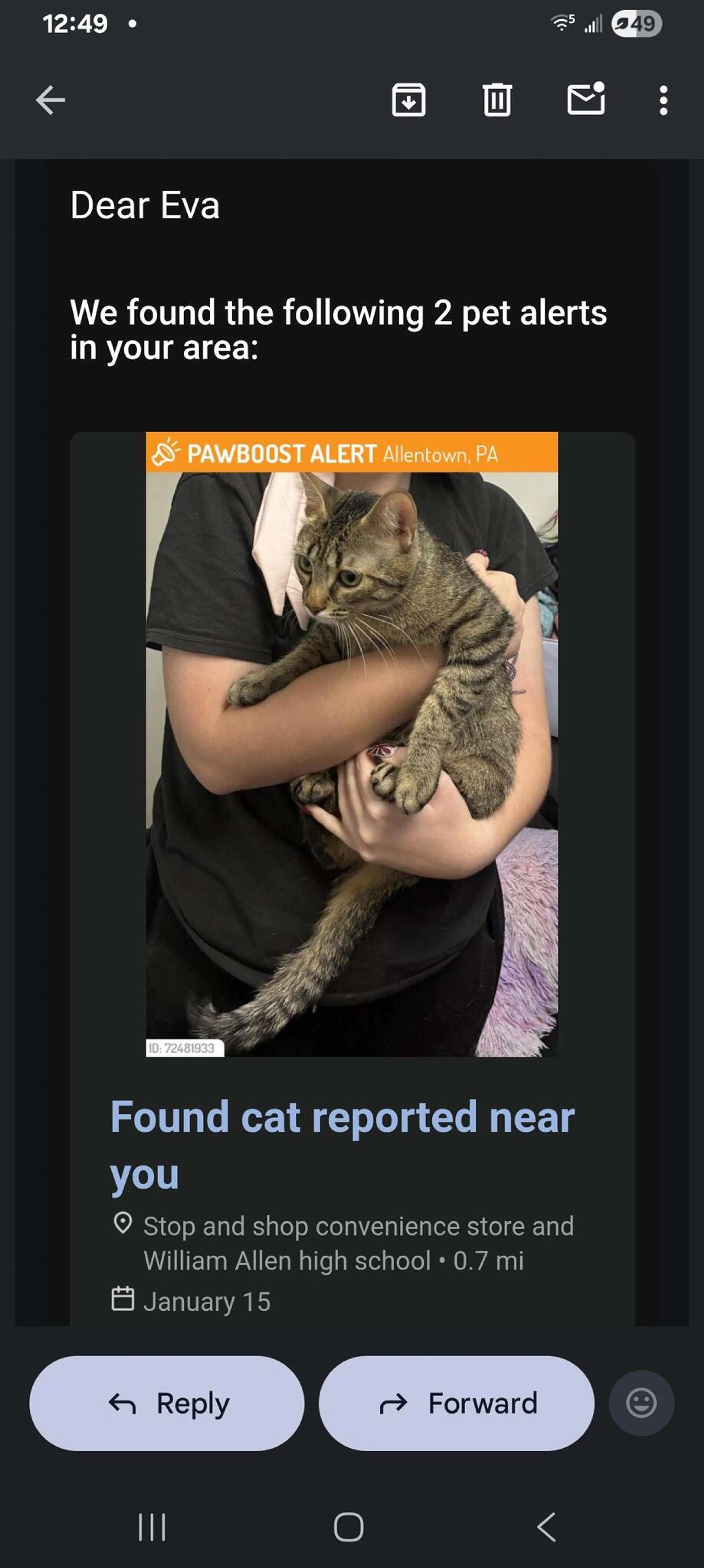 Found pet