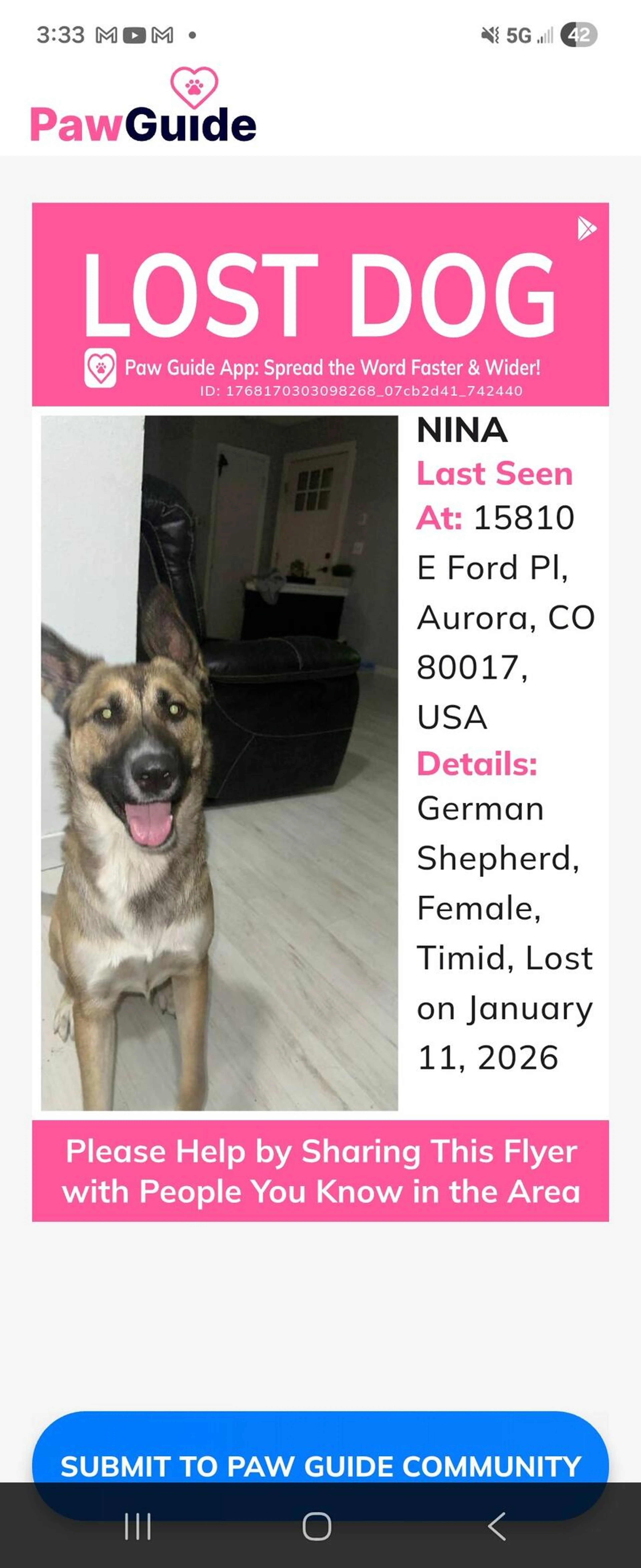 Lost pet