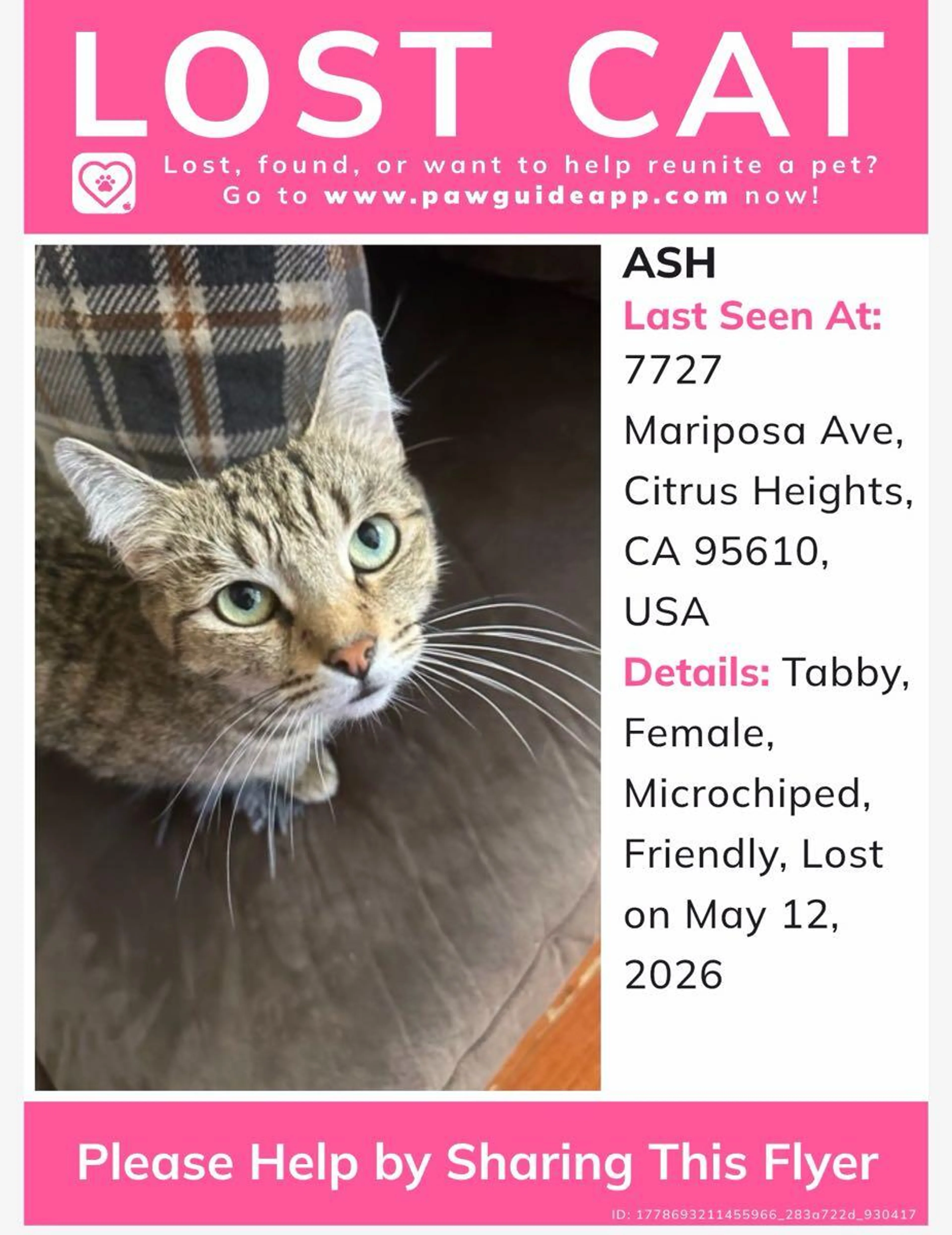 Lost pet