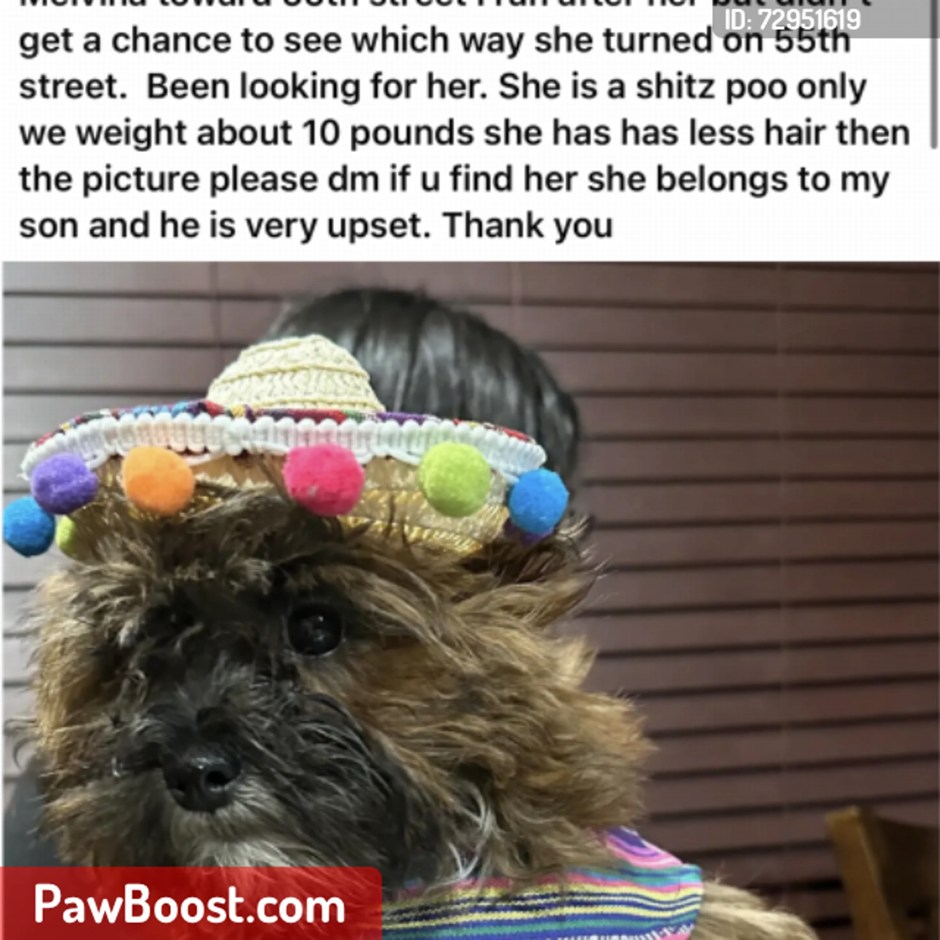 cdn image