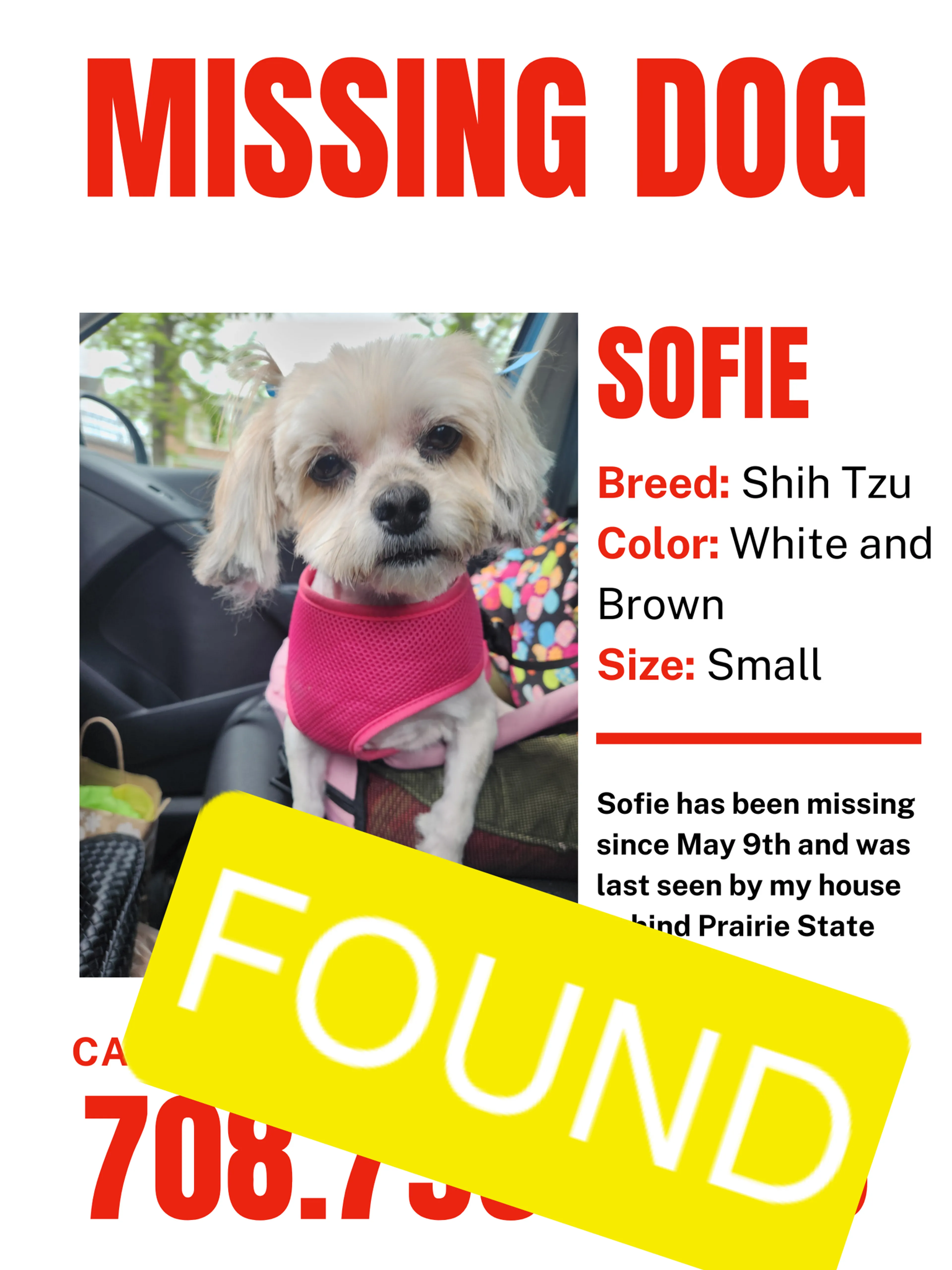 Lost pet