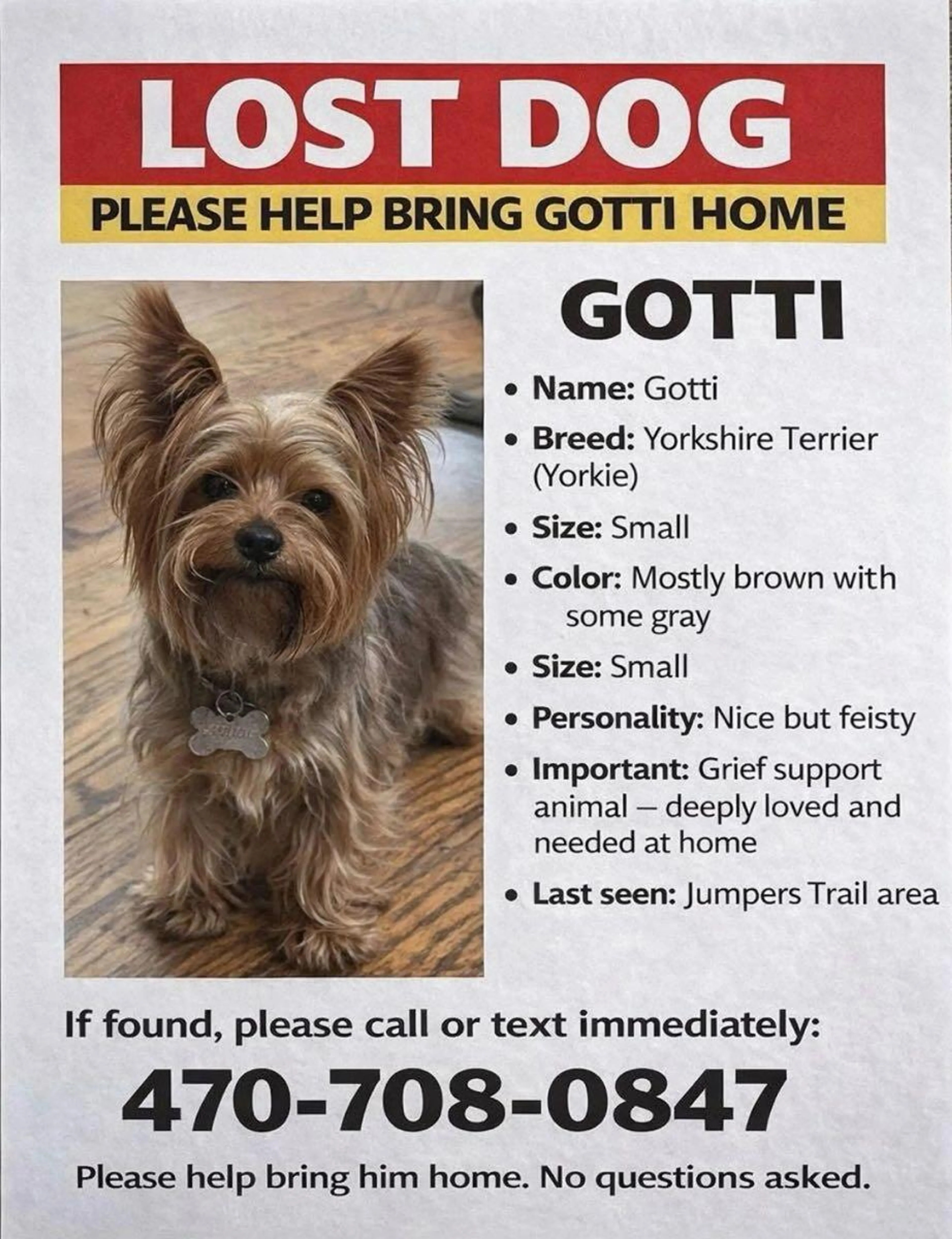 Lost pet