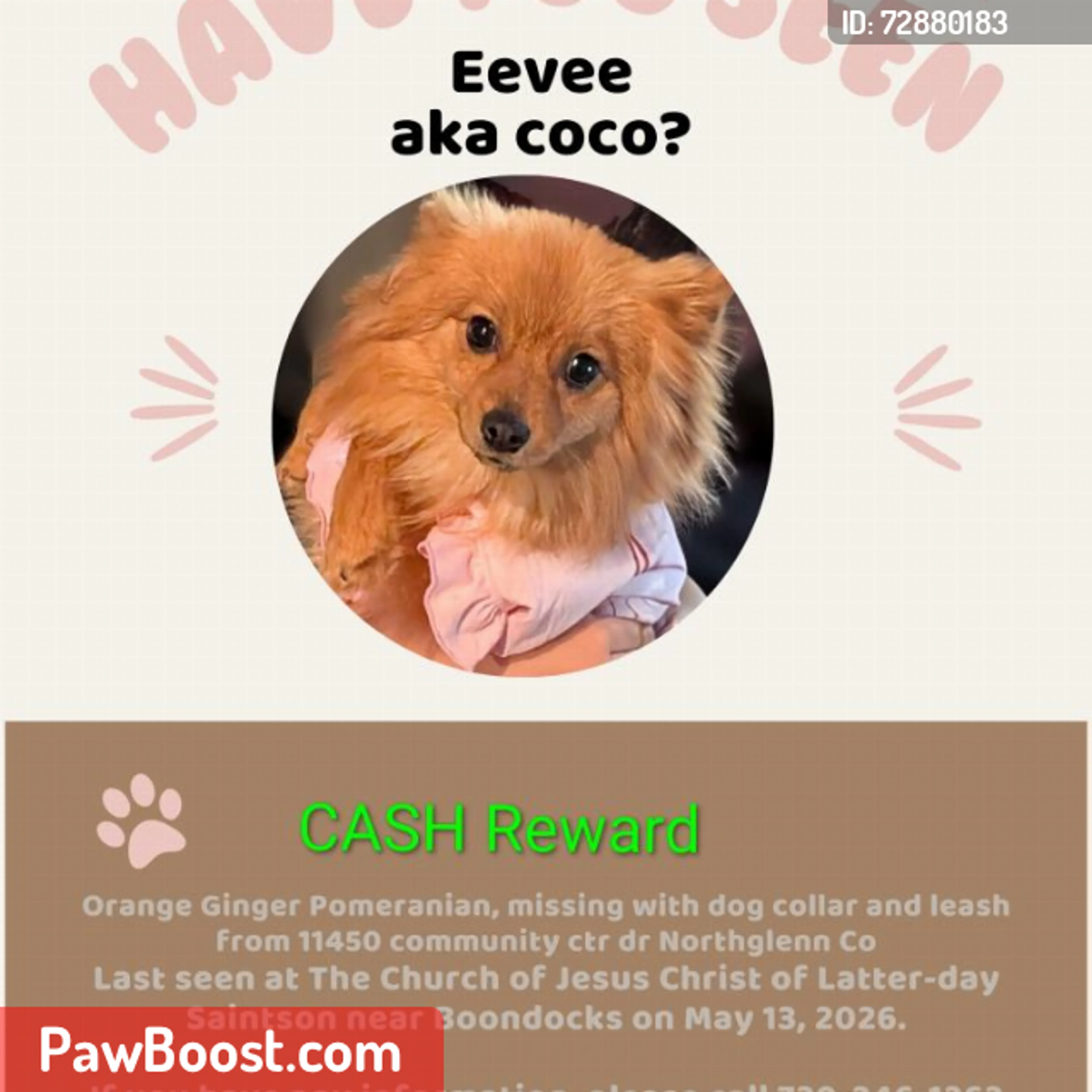 Lost pet