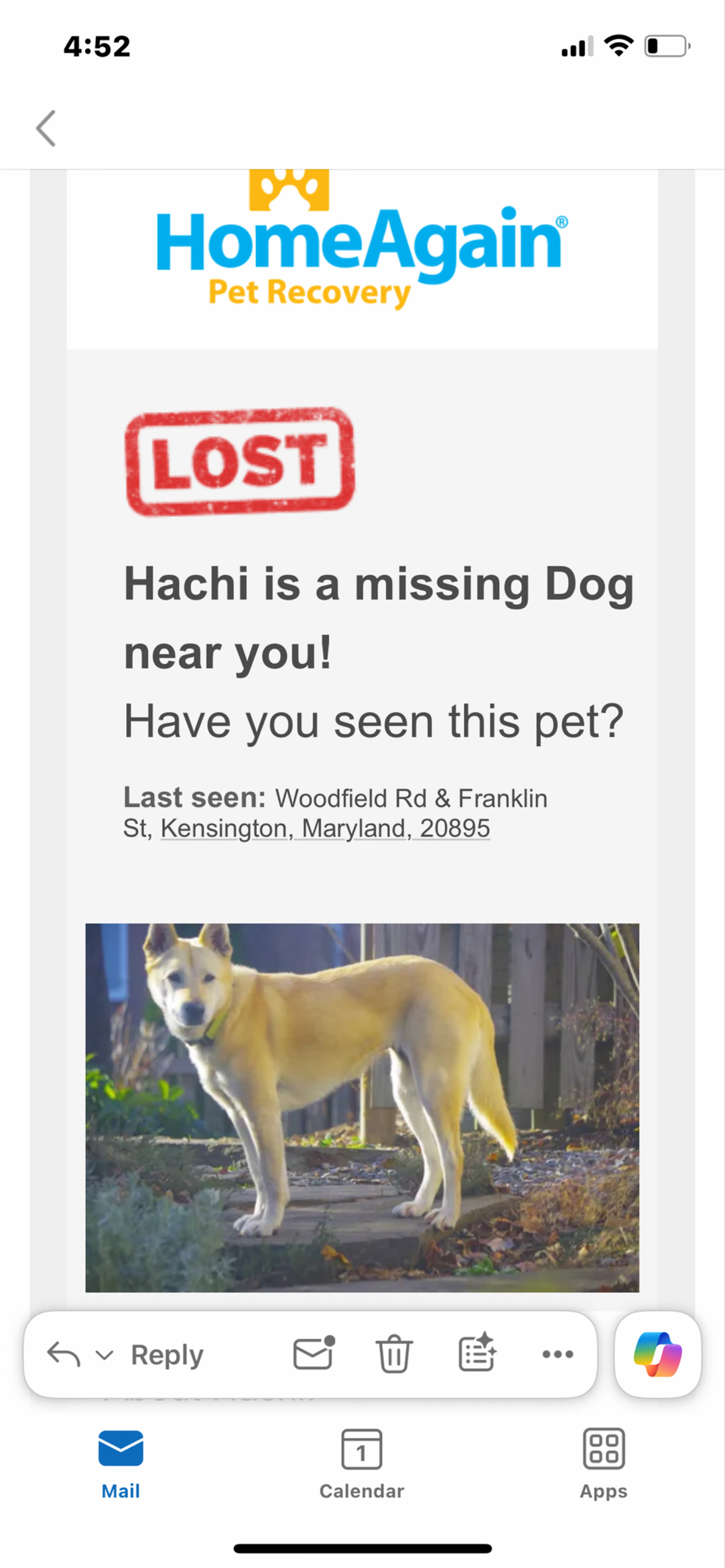 Found pet