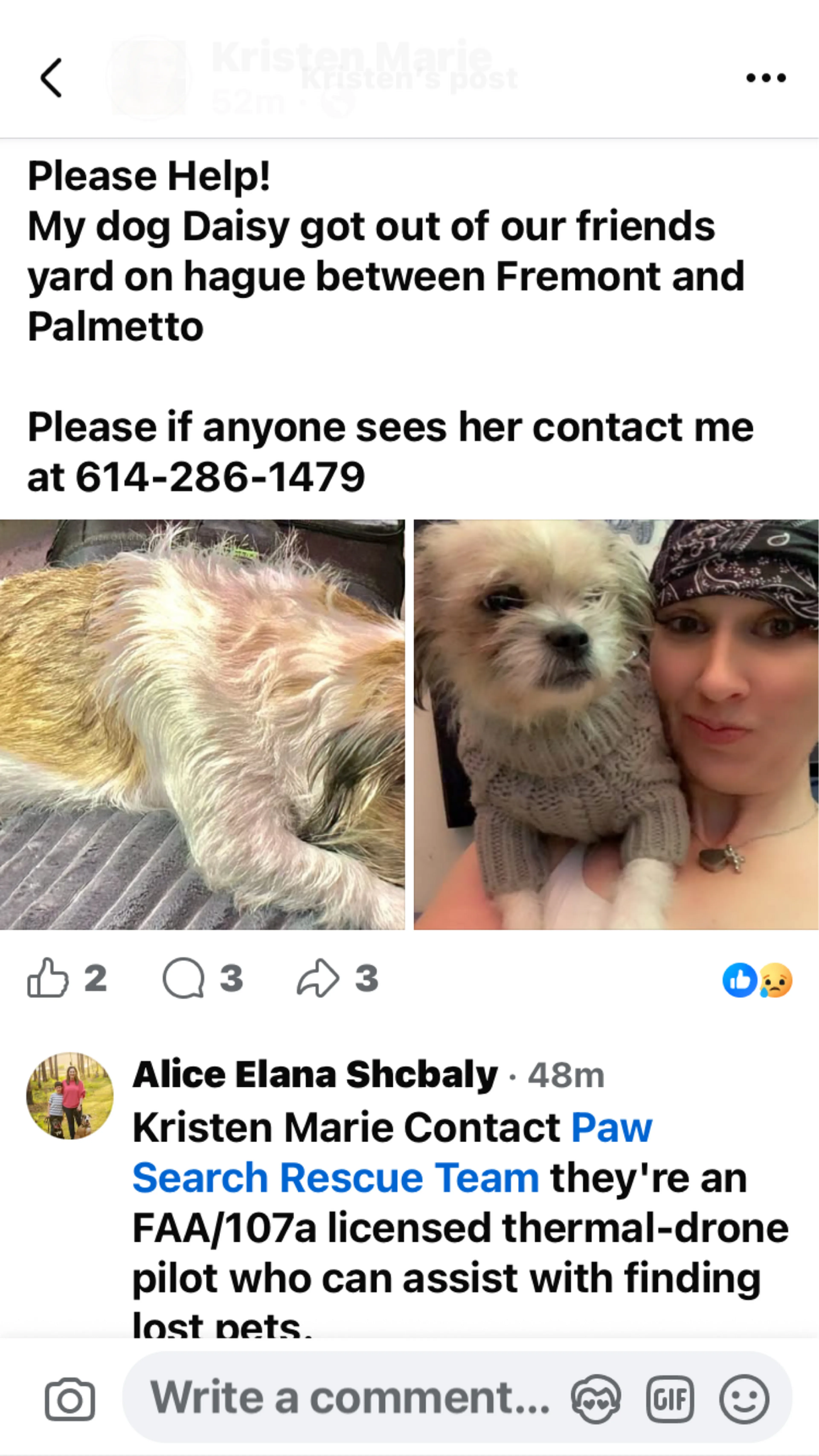 Lost pet