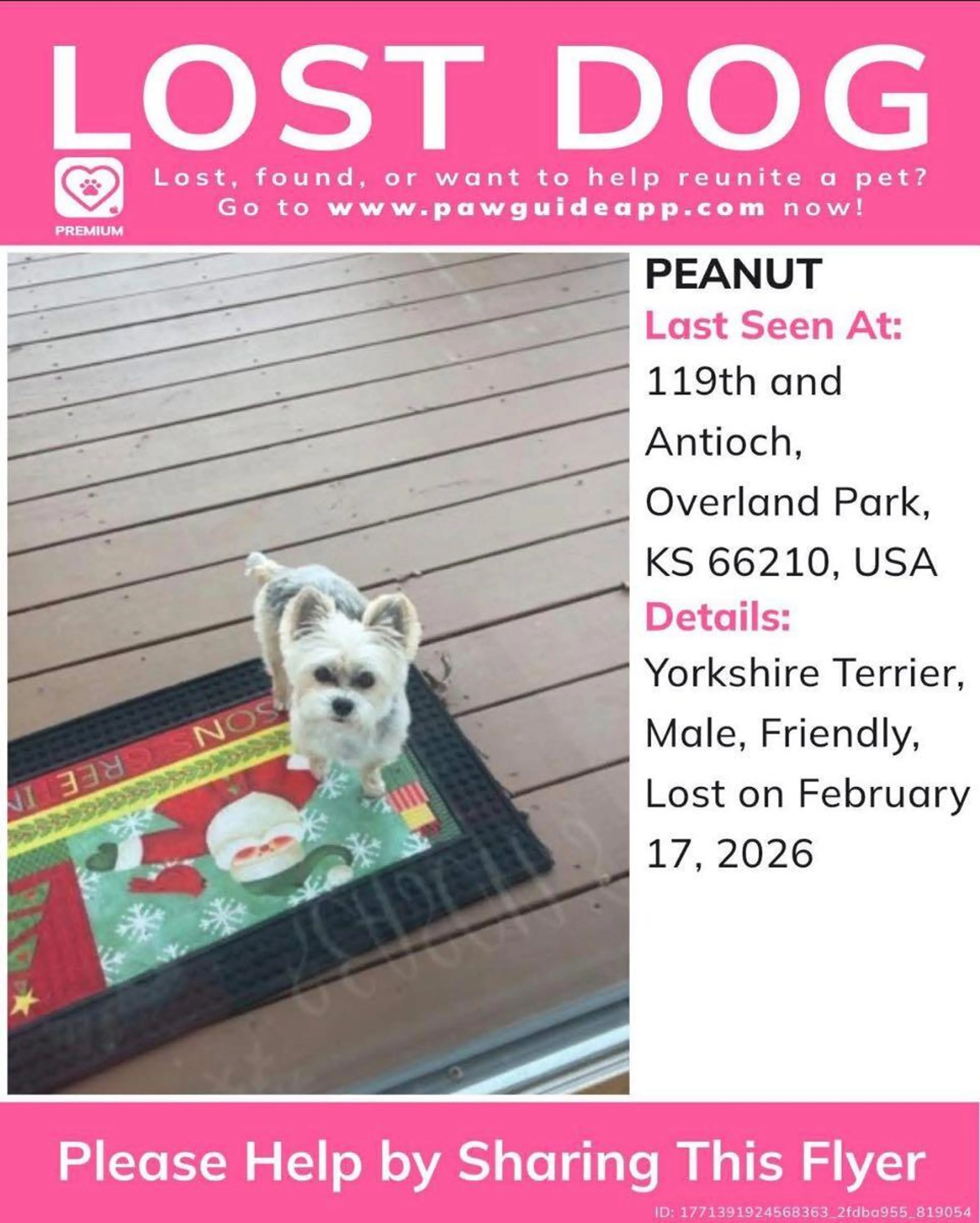 Lost pet