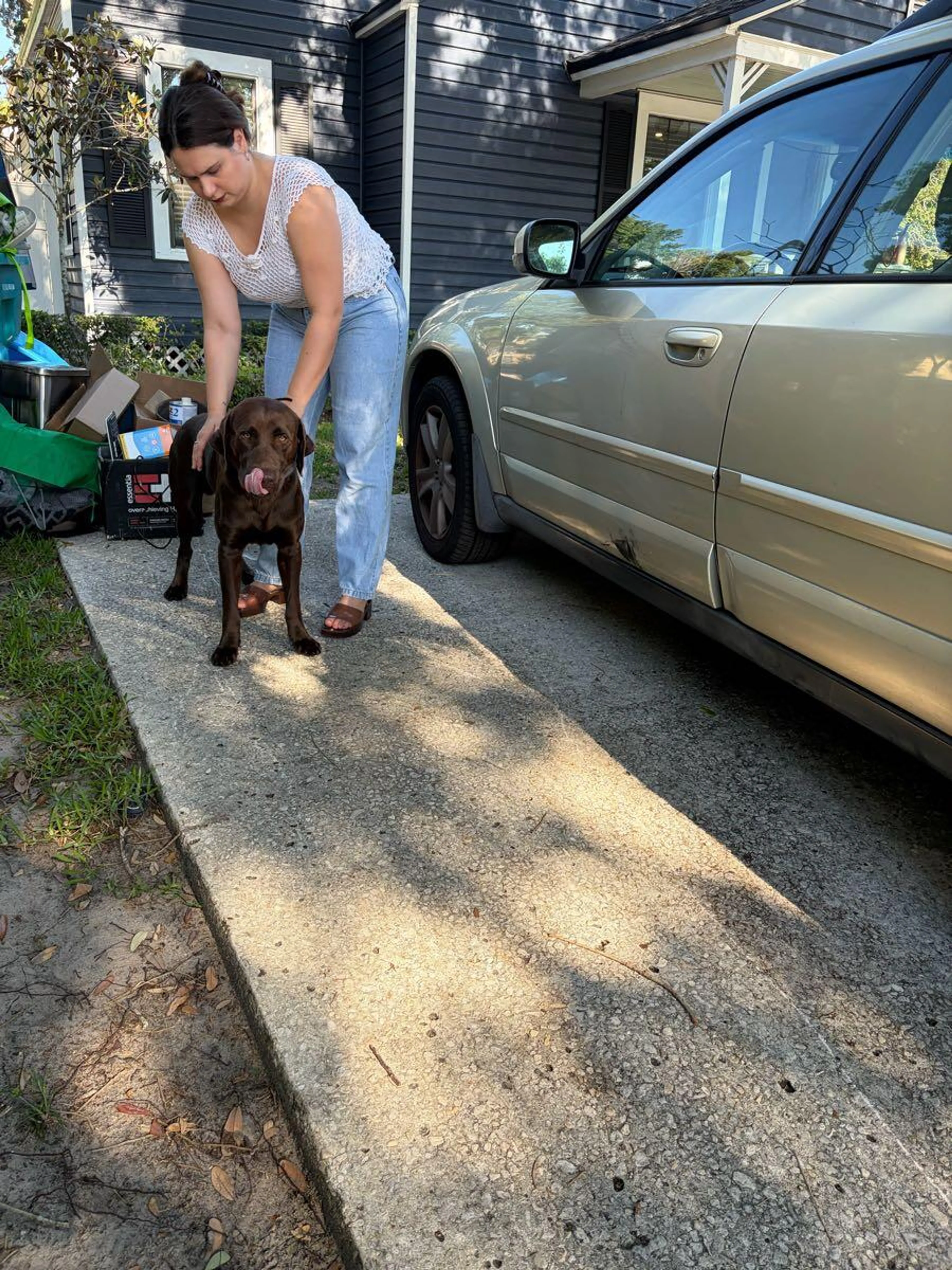 Found pet