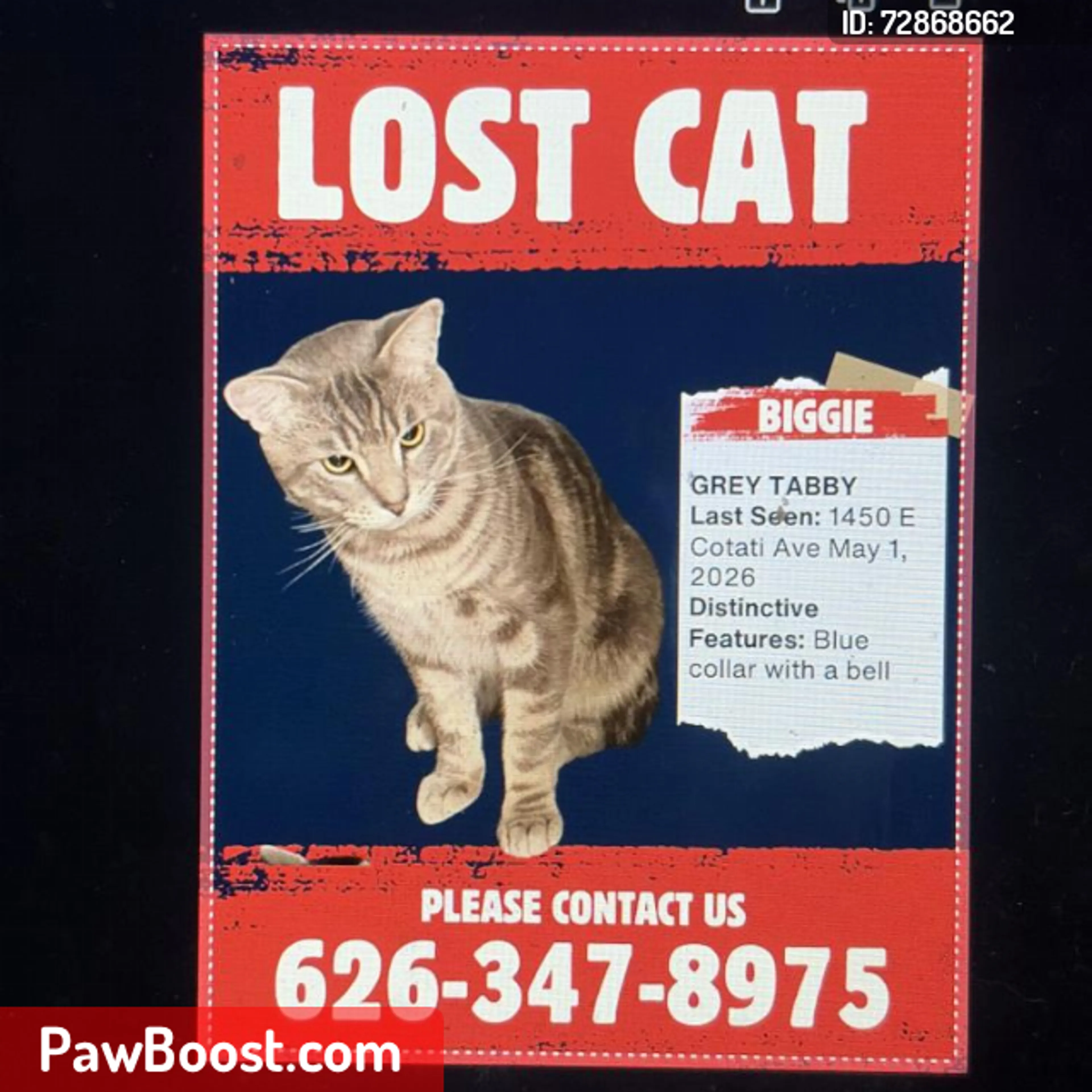 Lost pet