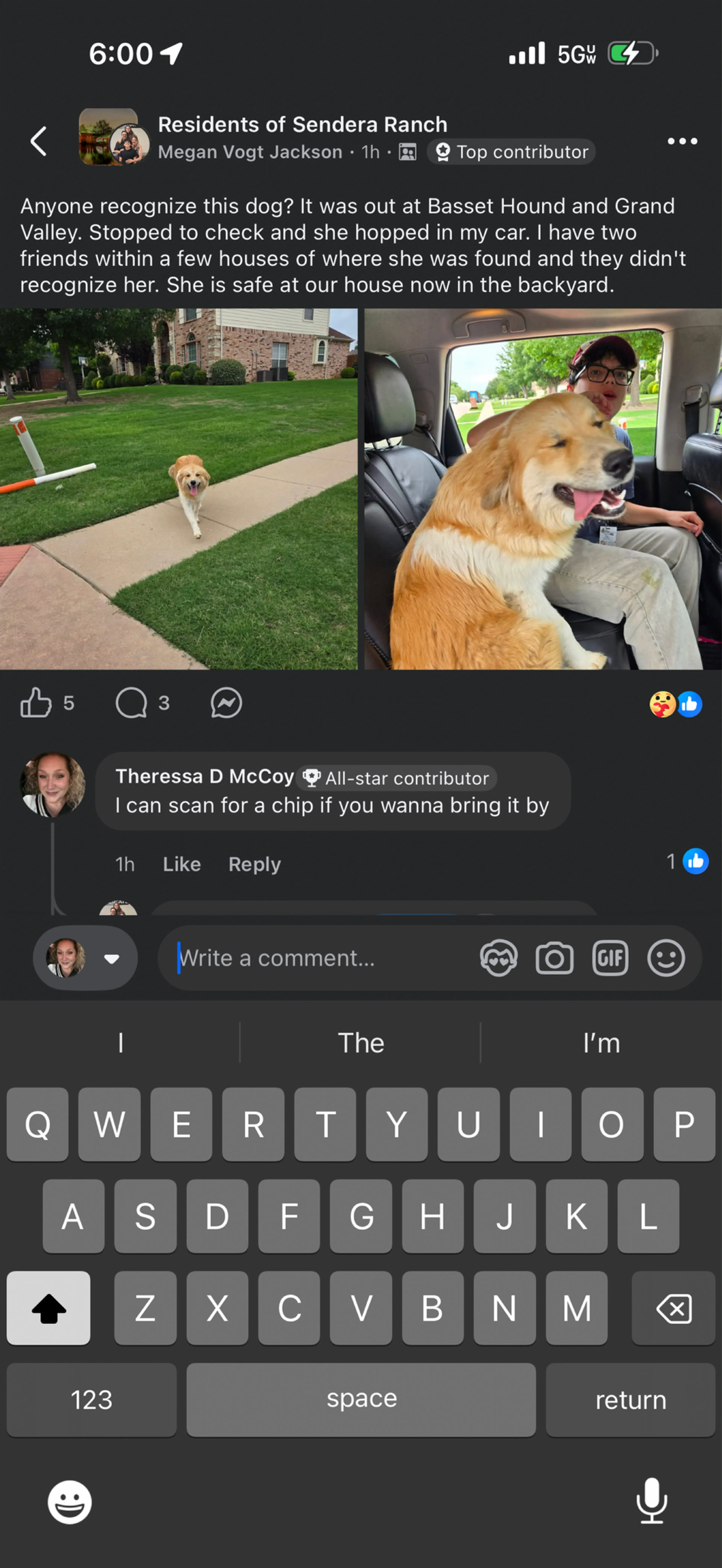 Found pet