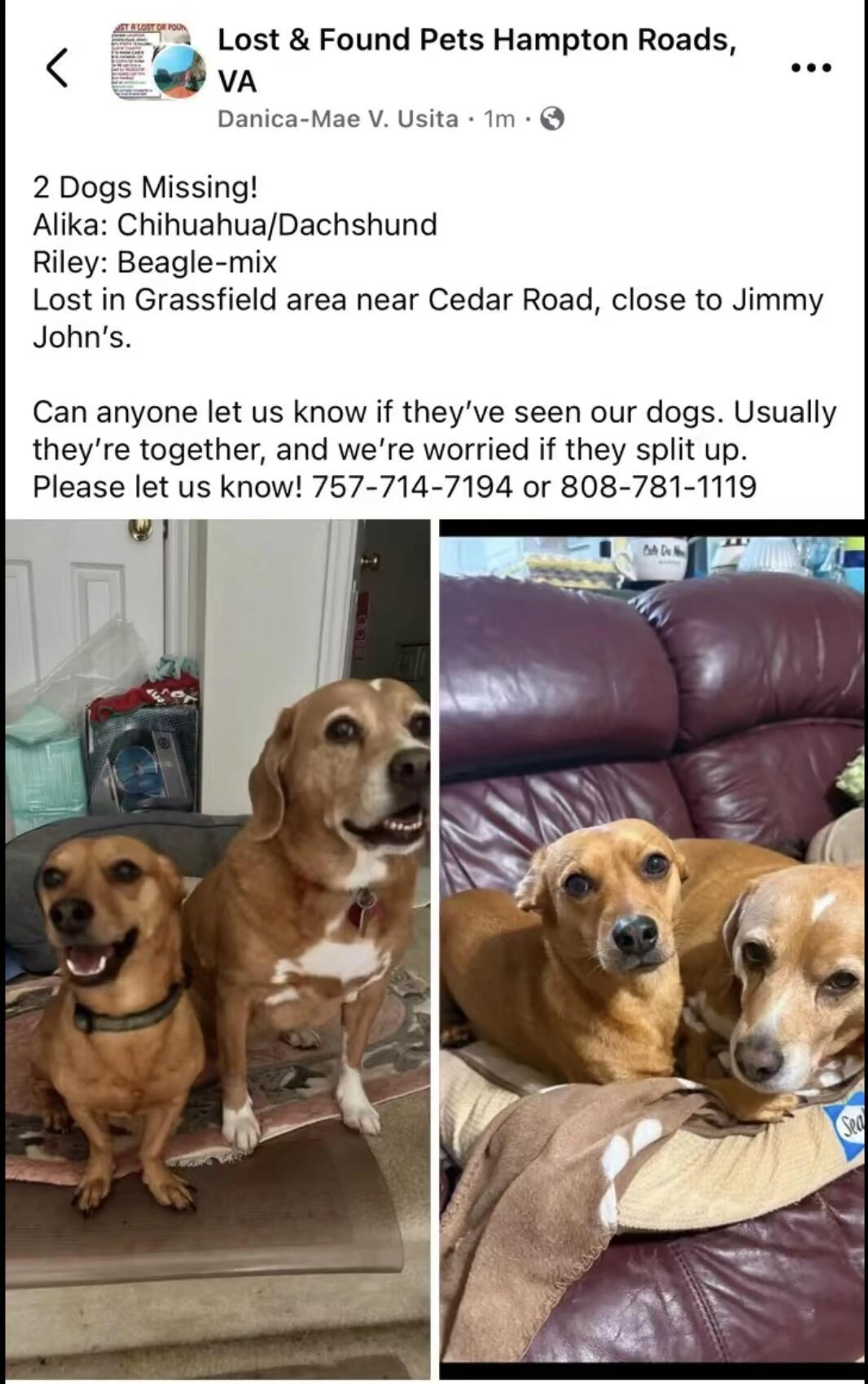 cdn image