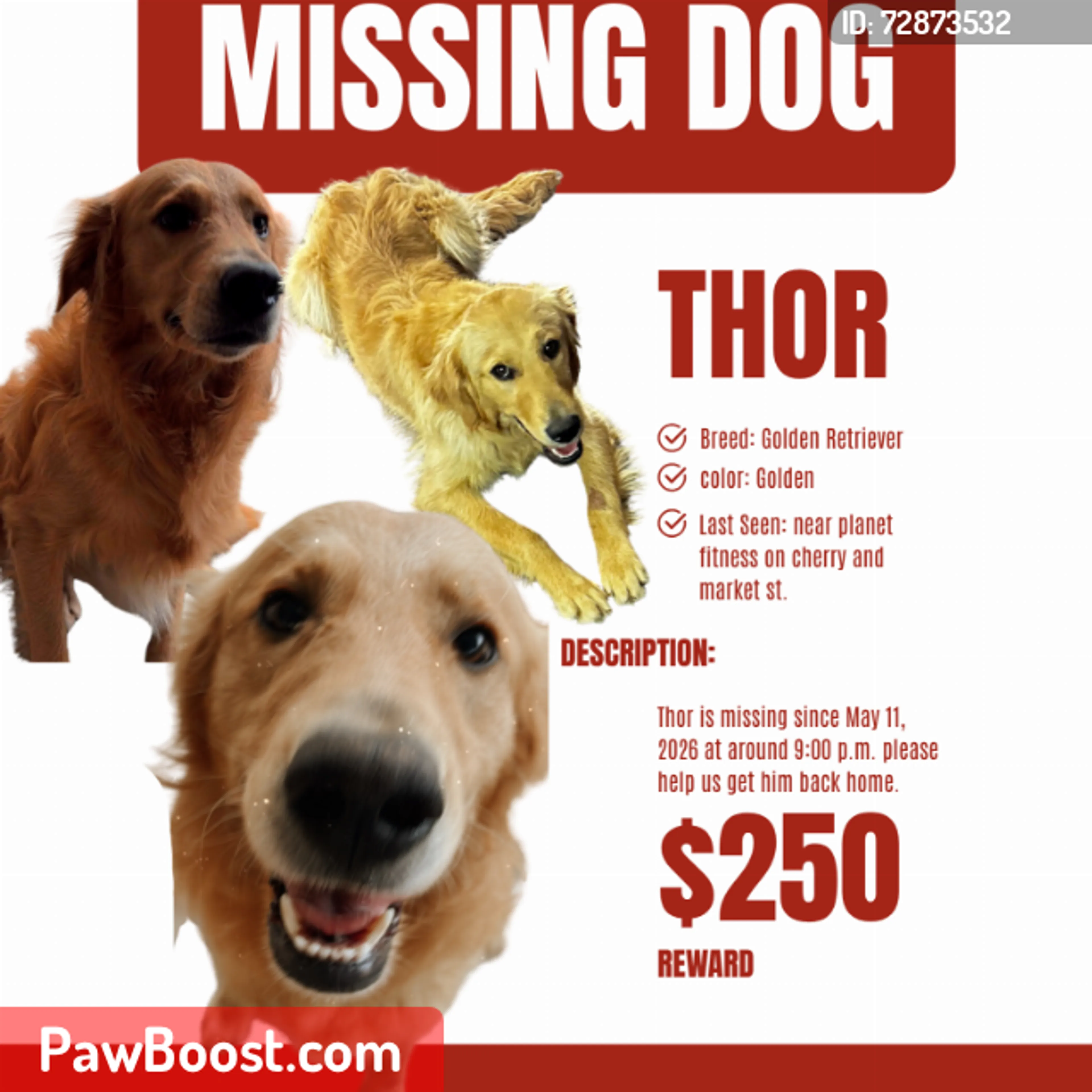 Lost pet