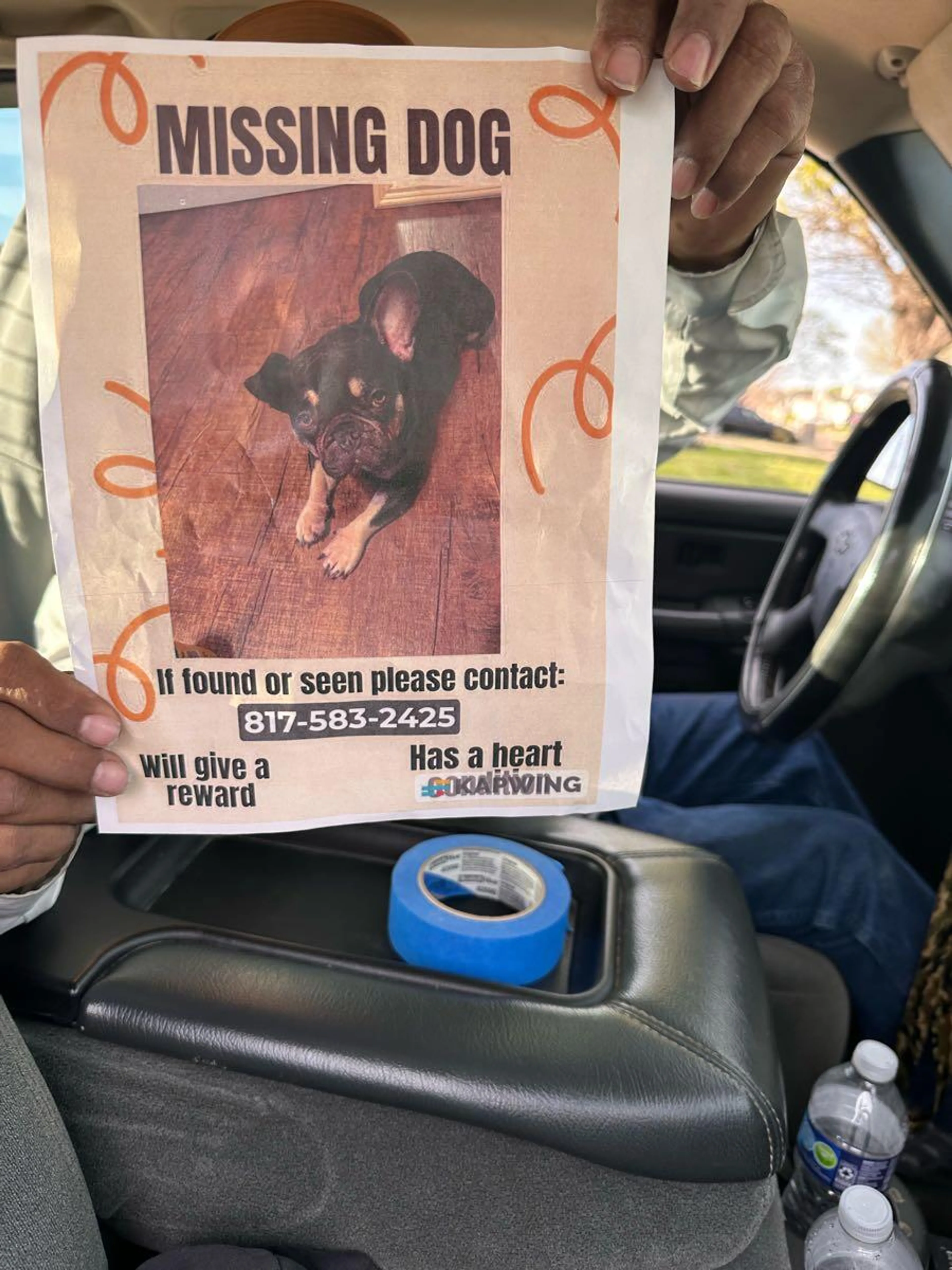 Found pet