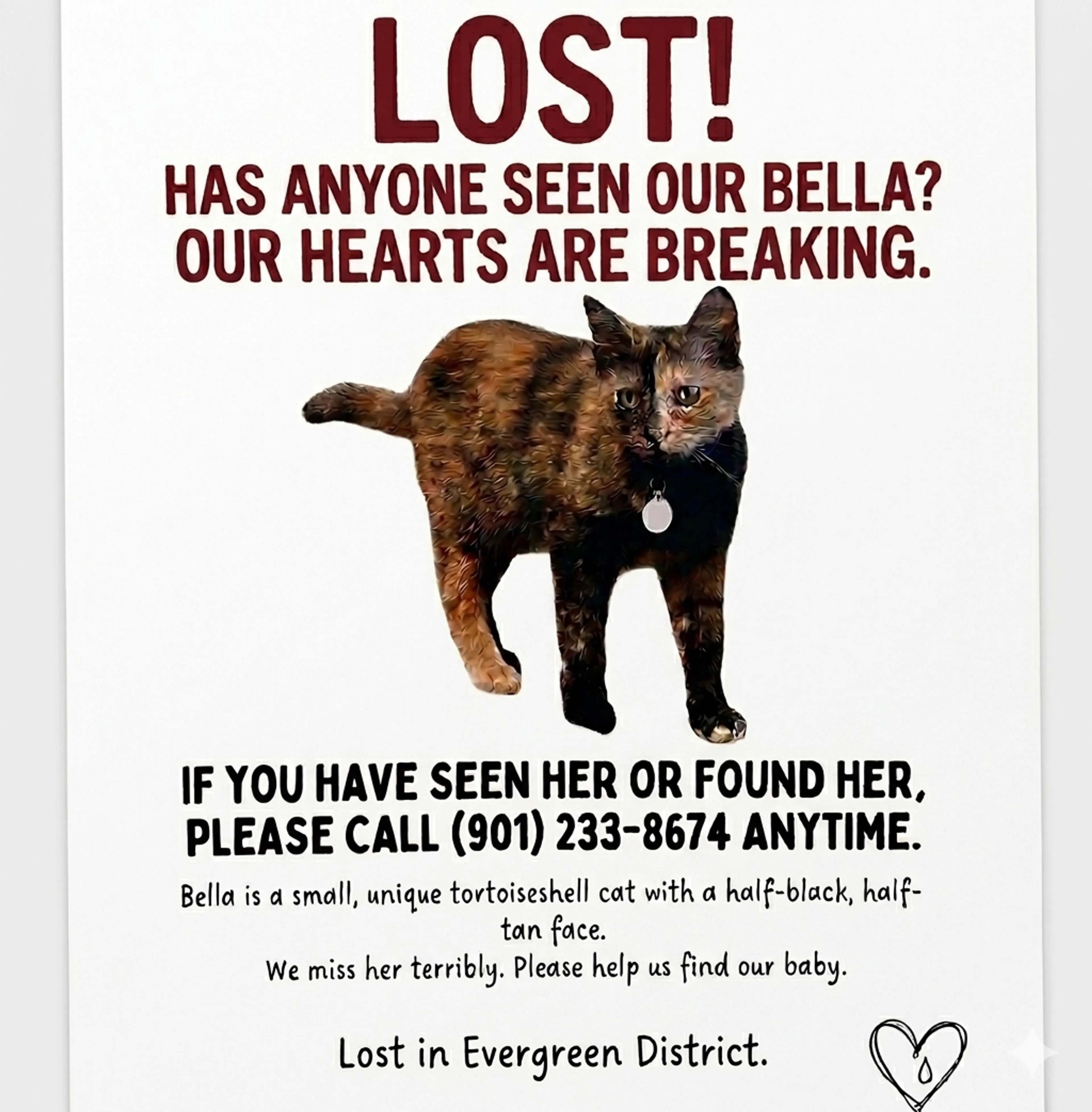 Lost pet