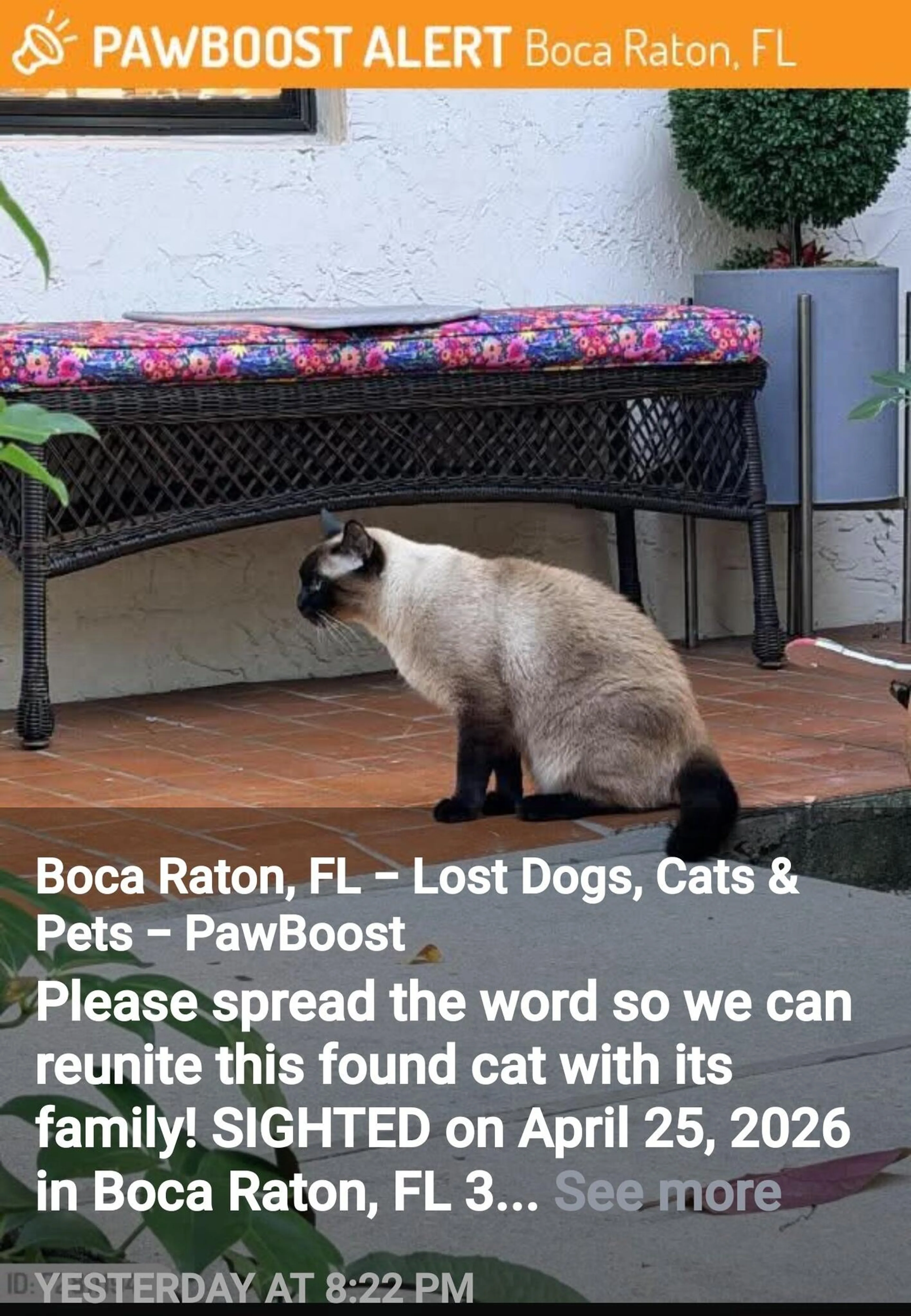 Found pet