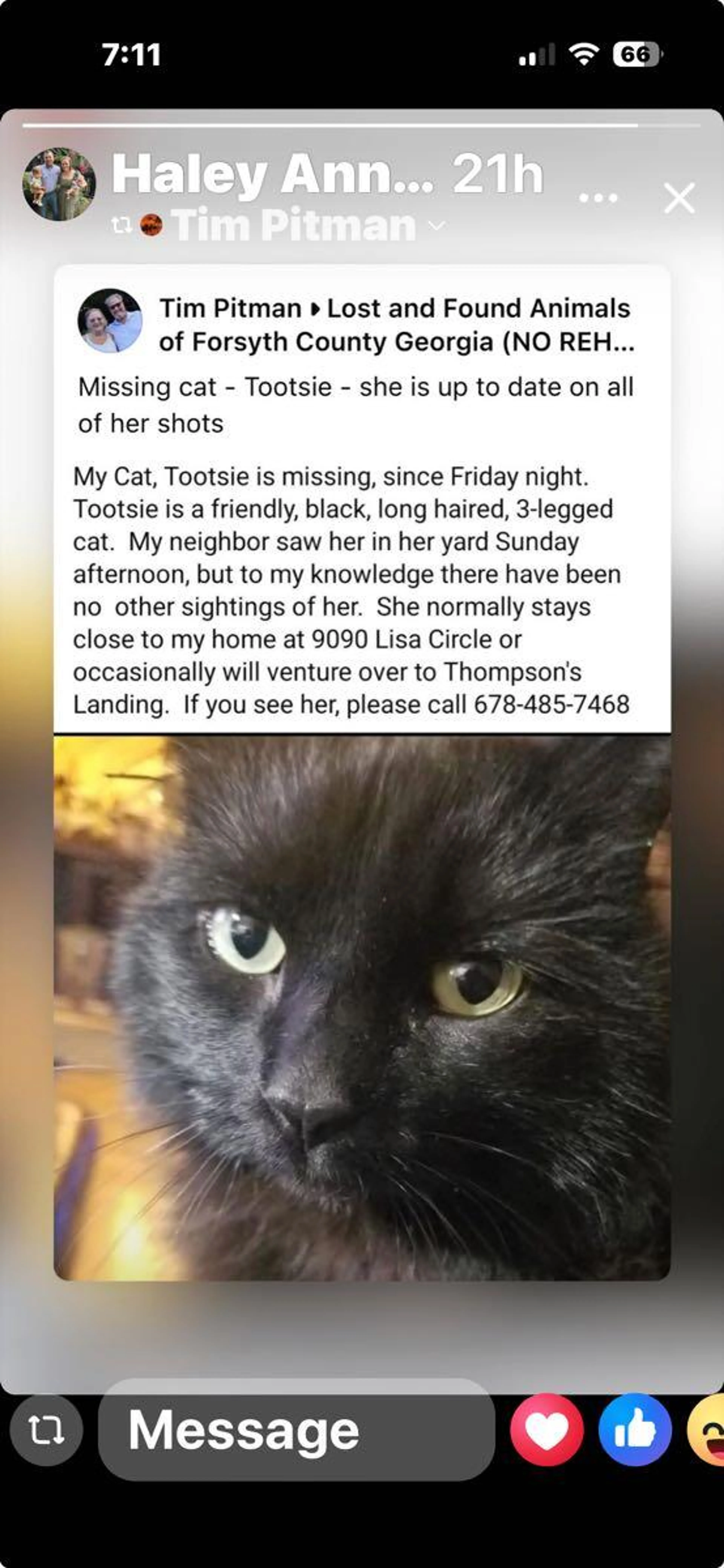 Lost pet
