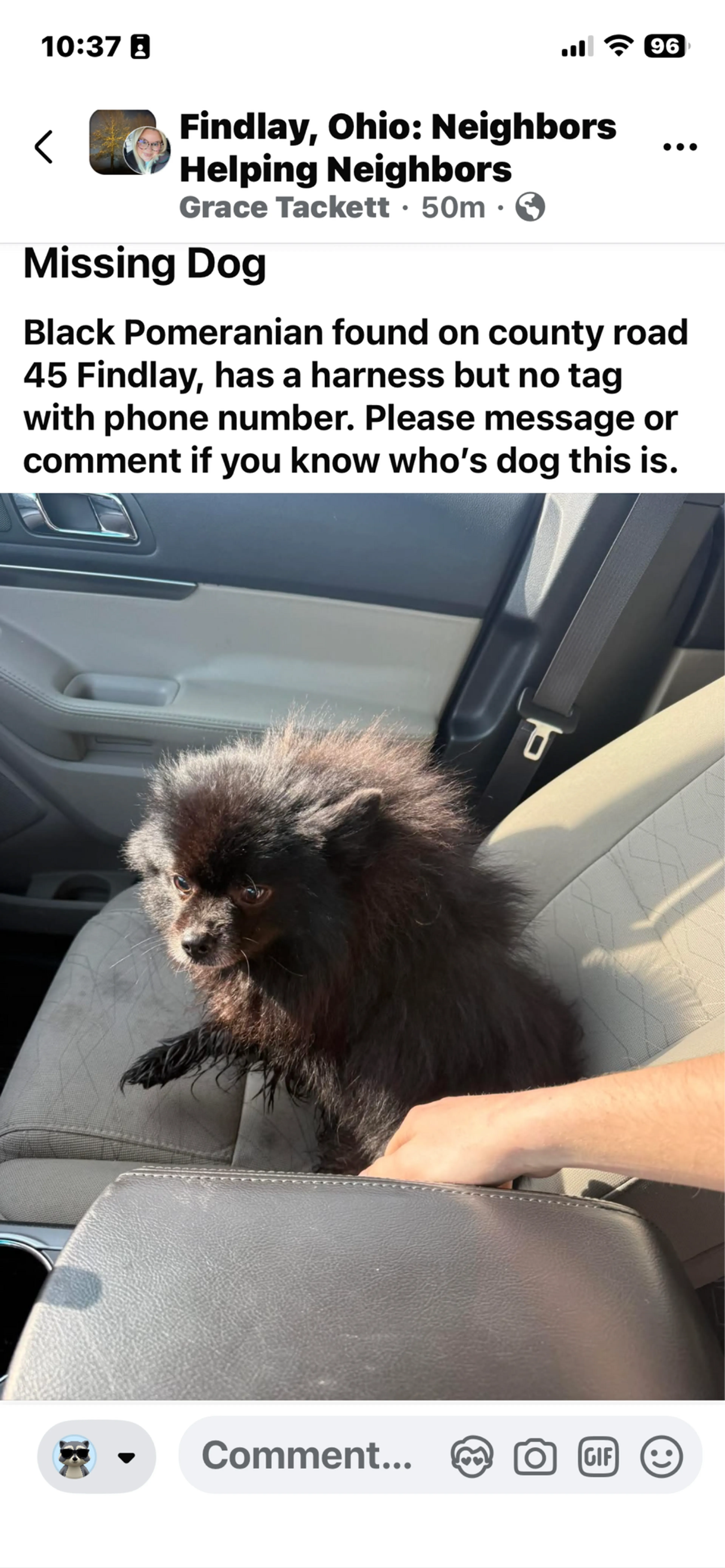 Found pet