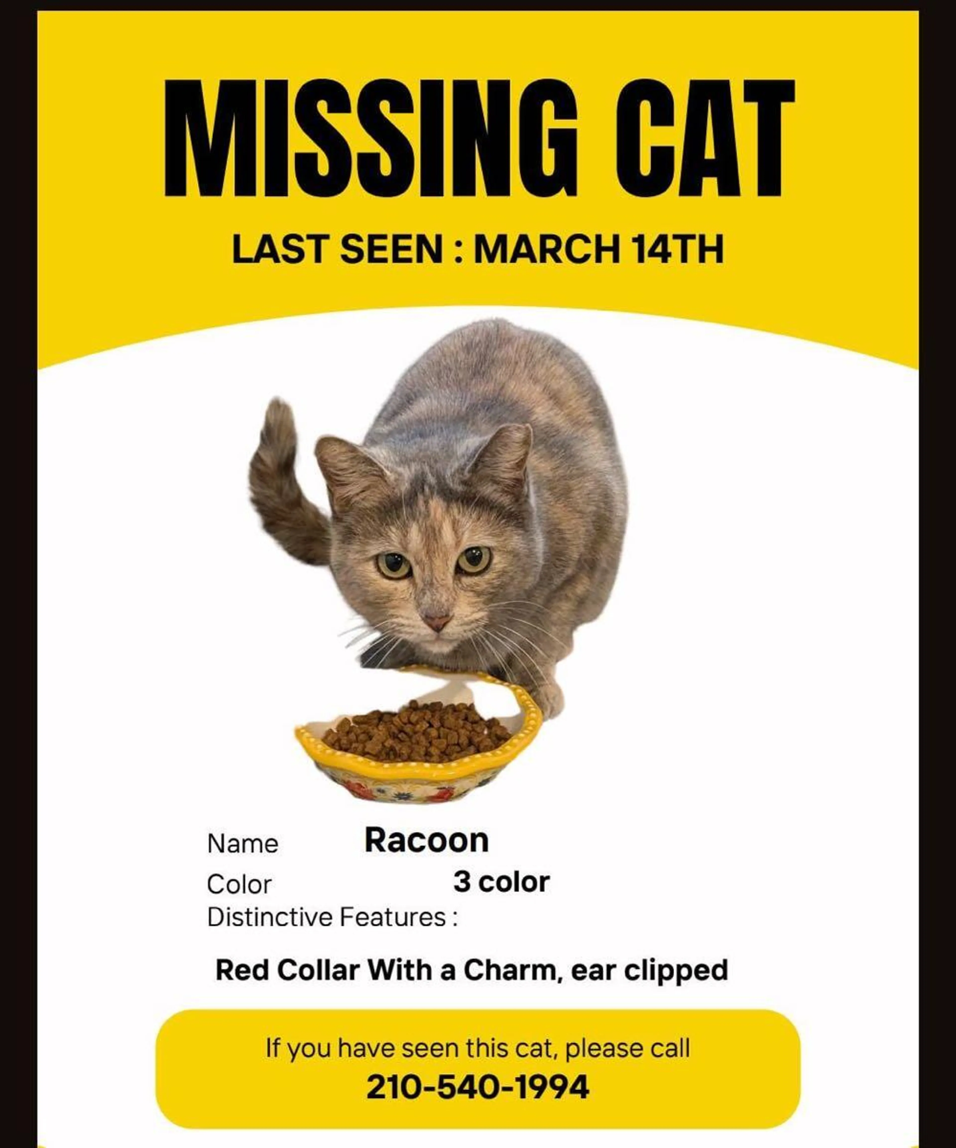 Lost pet