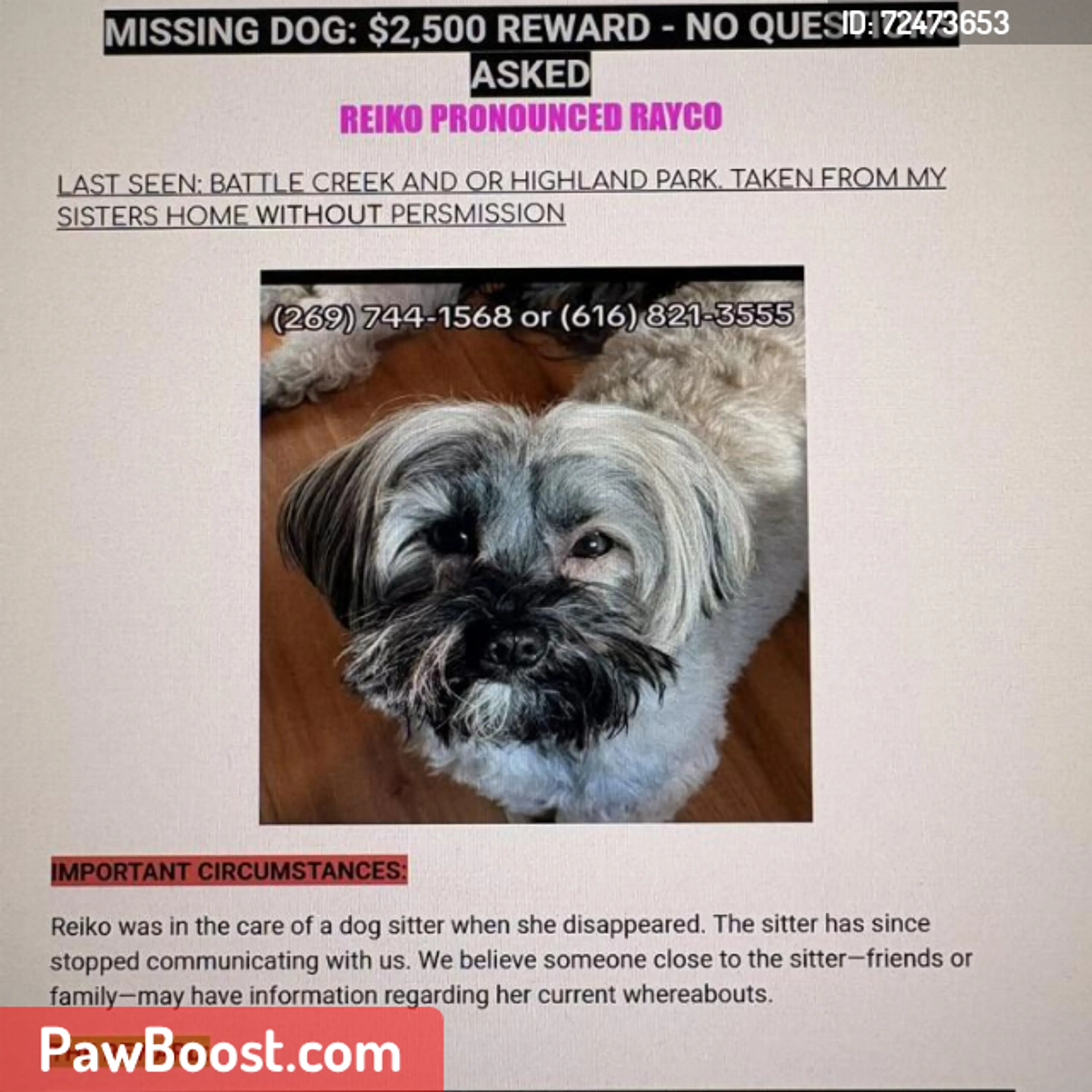 Lost pet