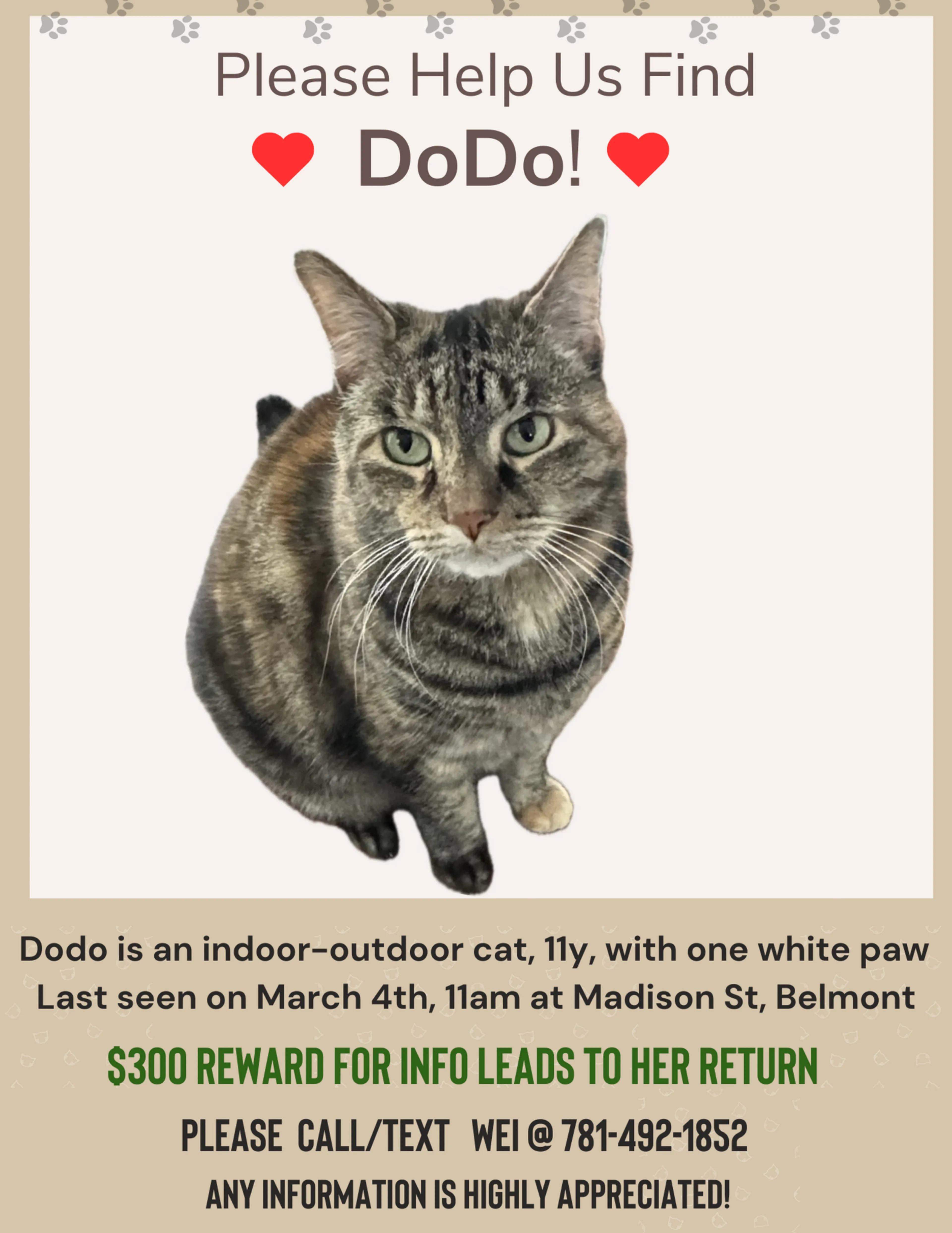 Lost pet