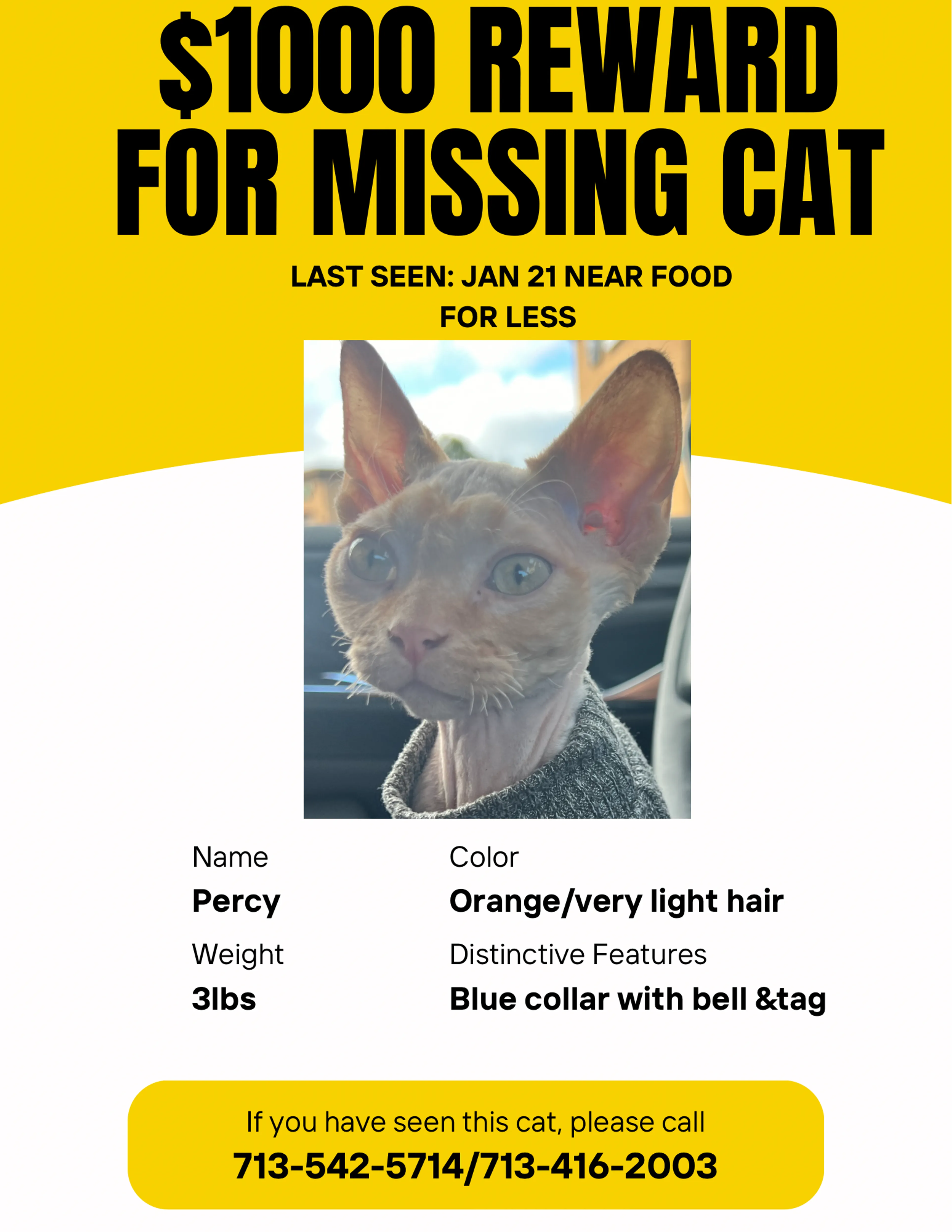 Lost pet