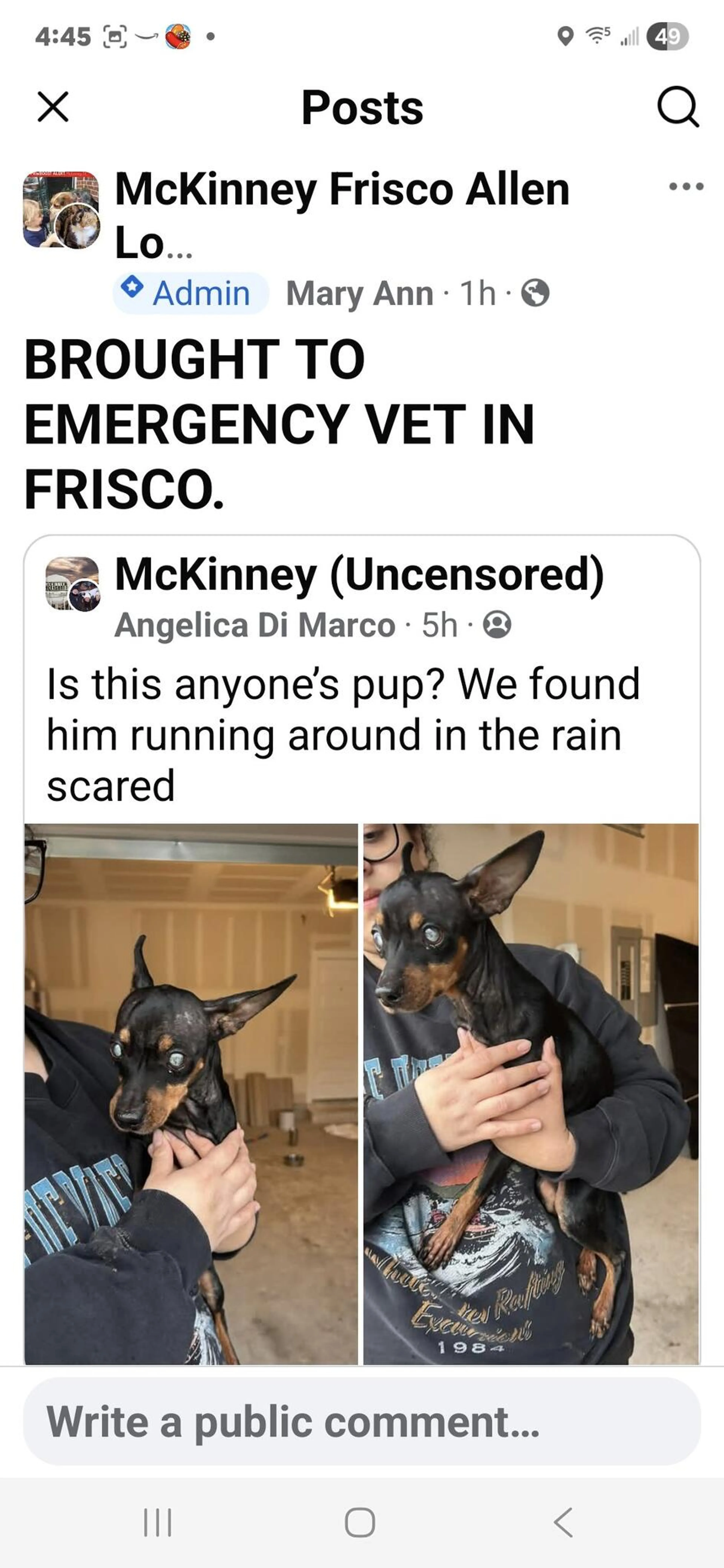 Found pet