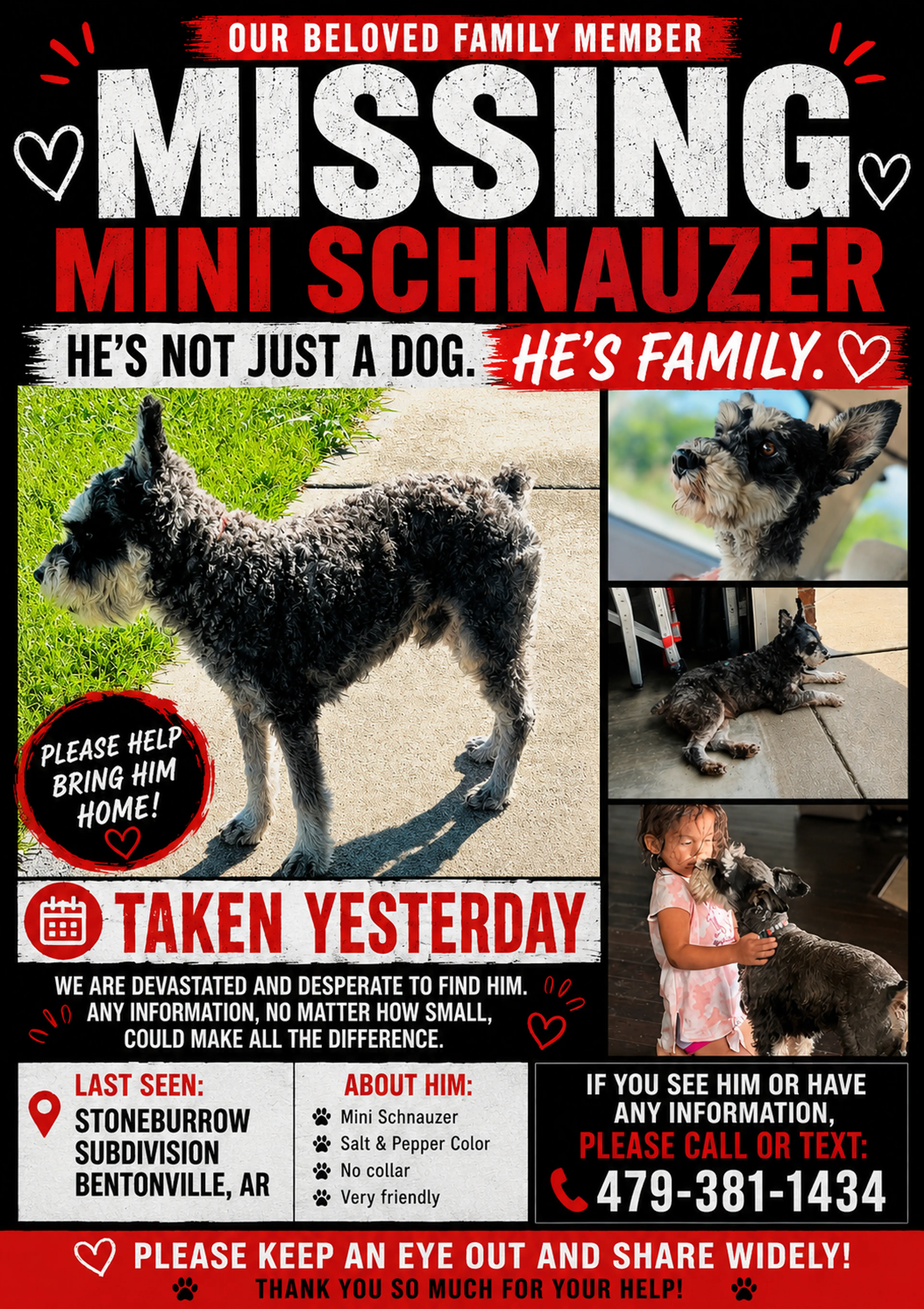 Lost pet