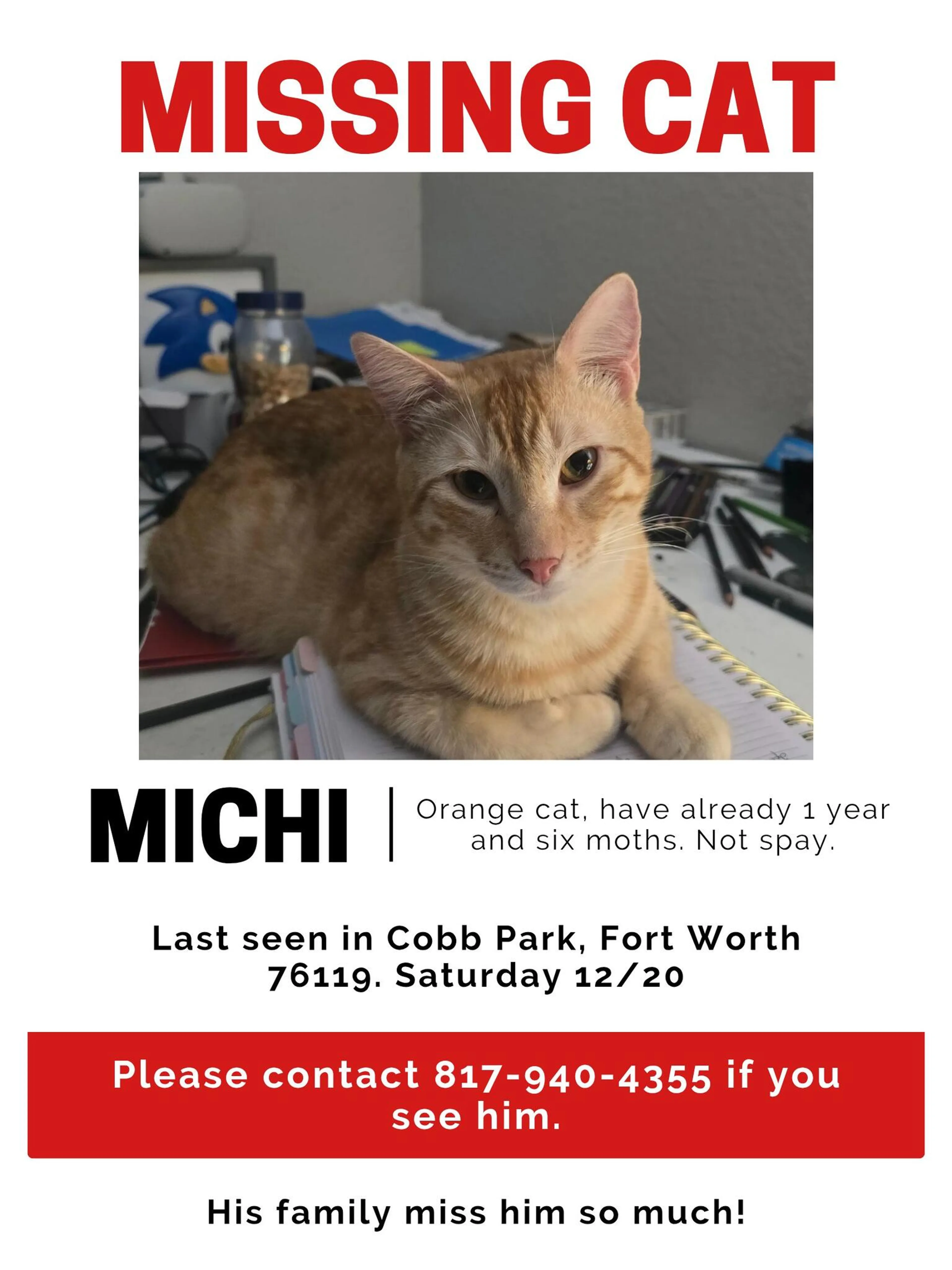 Lost pet