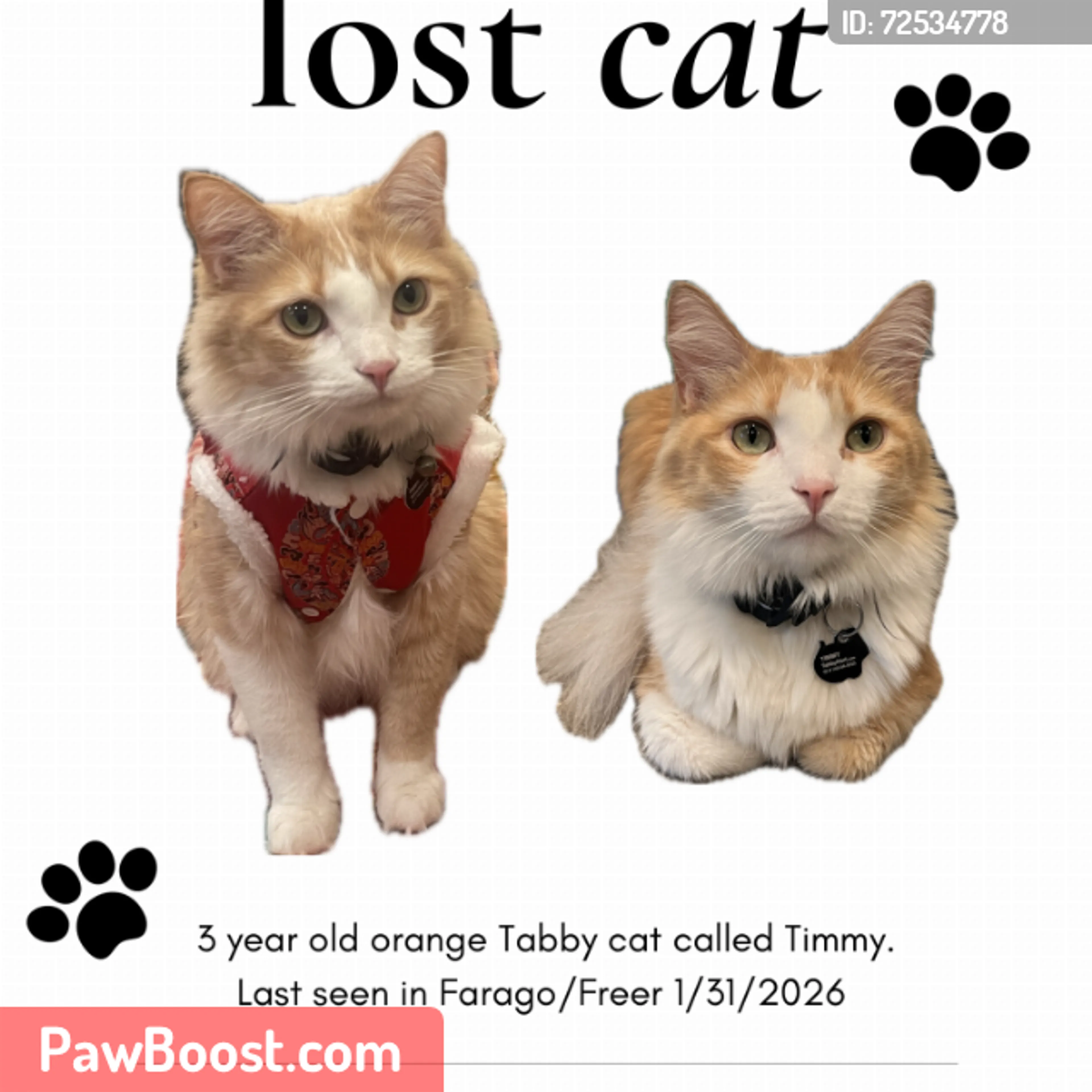 Lost pet