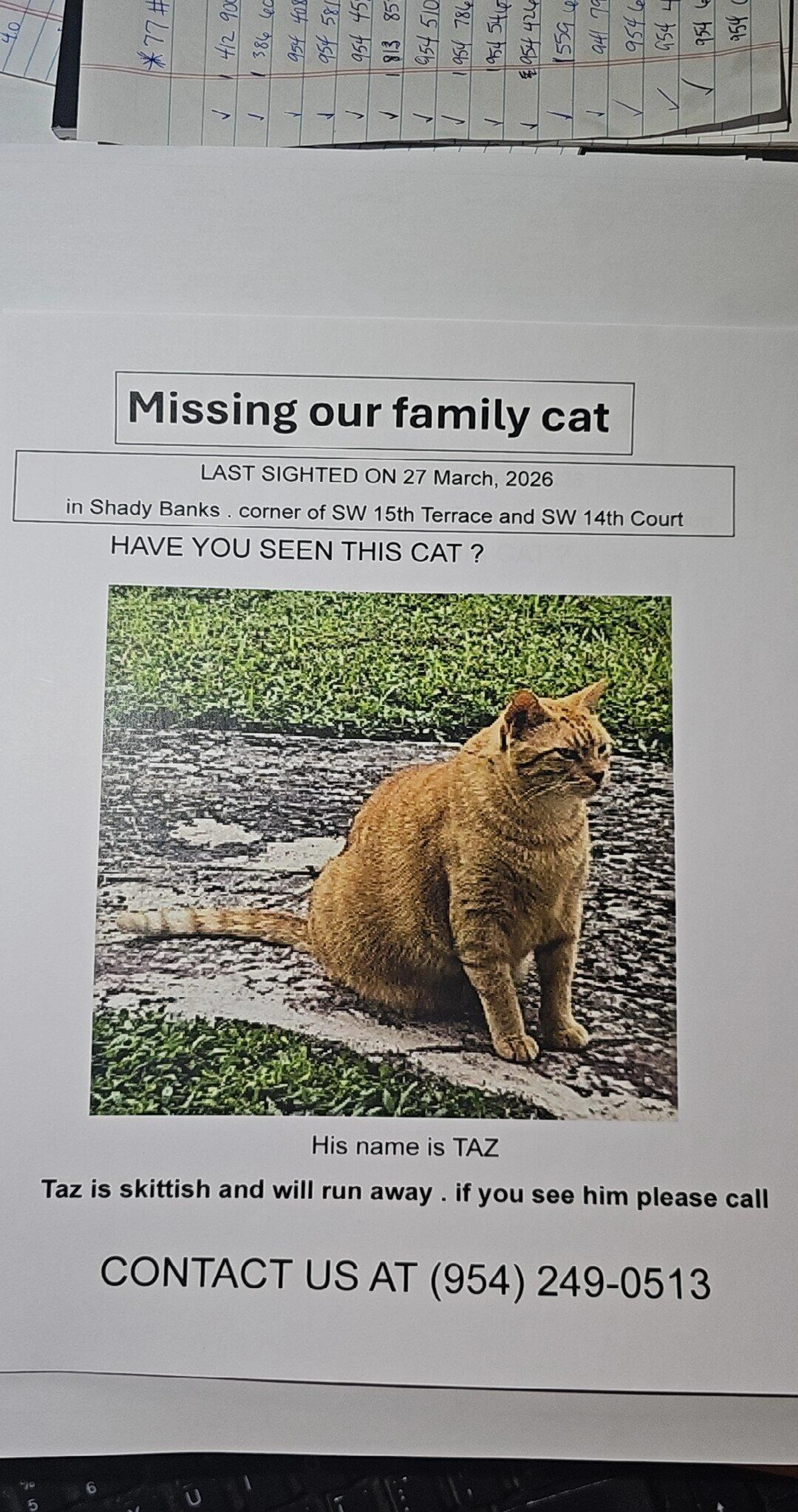 Lost pet