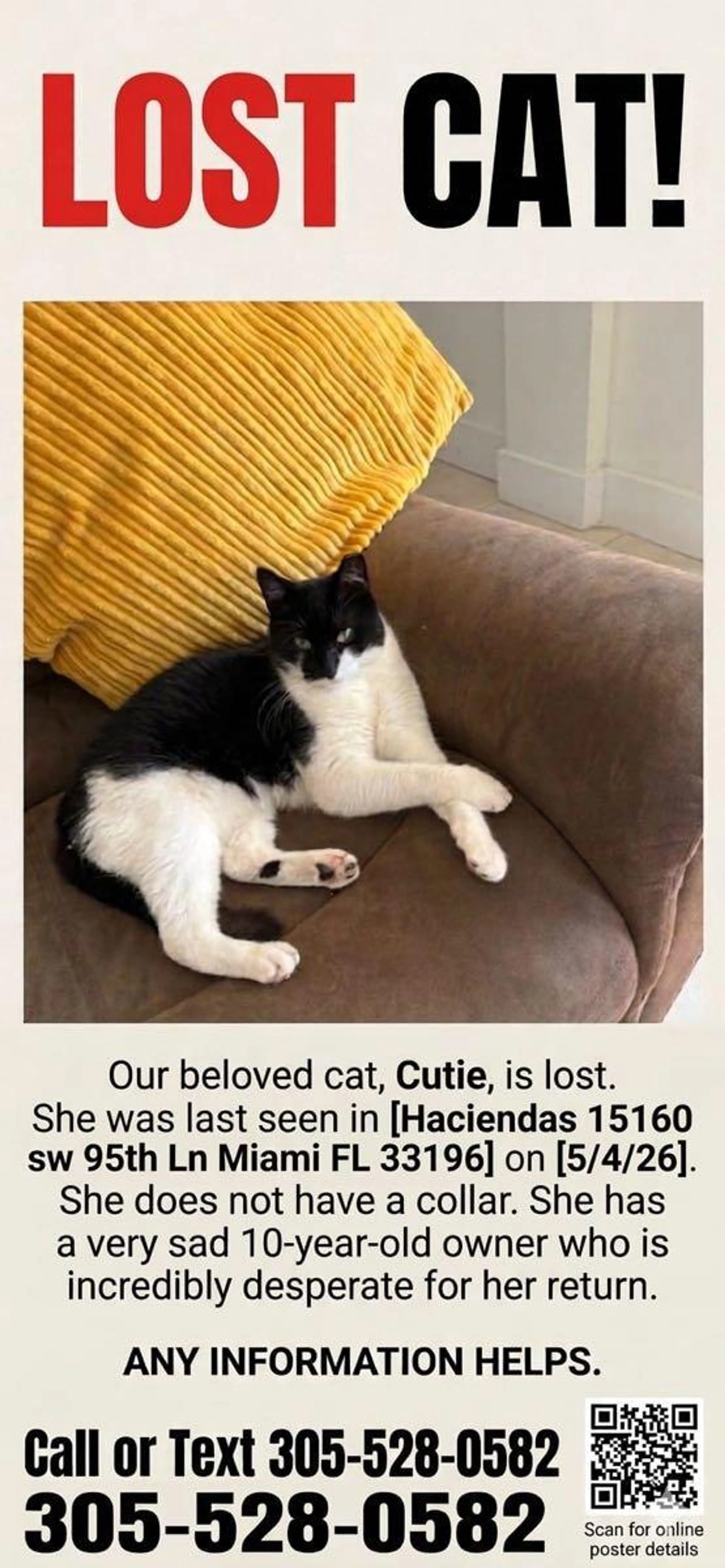 Lost pet