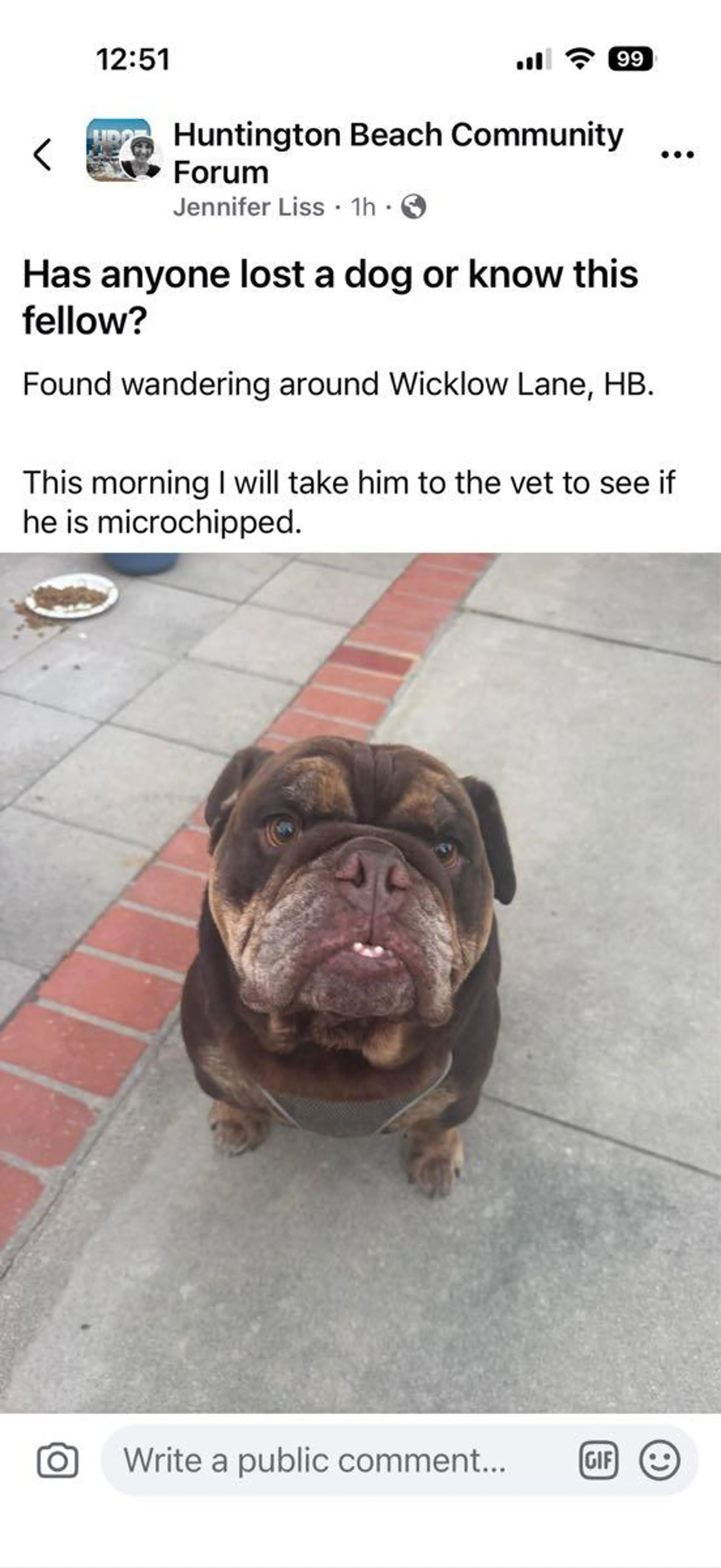 Found pet