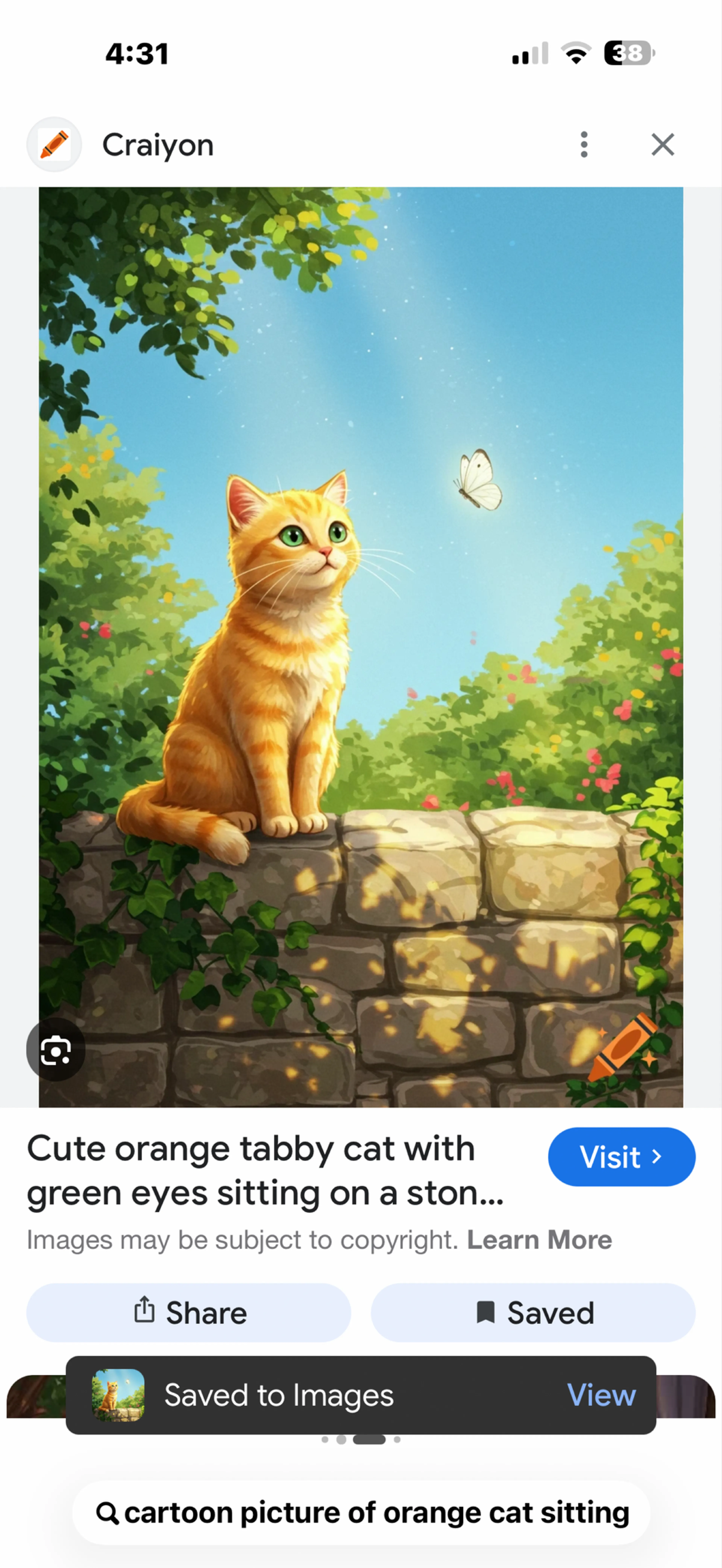 Found pet
